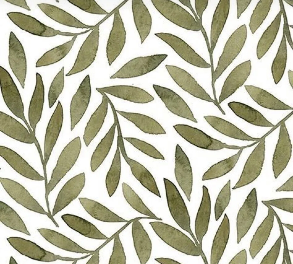 T🤍 OnlyFans header