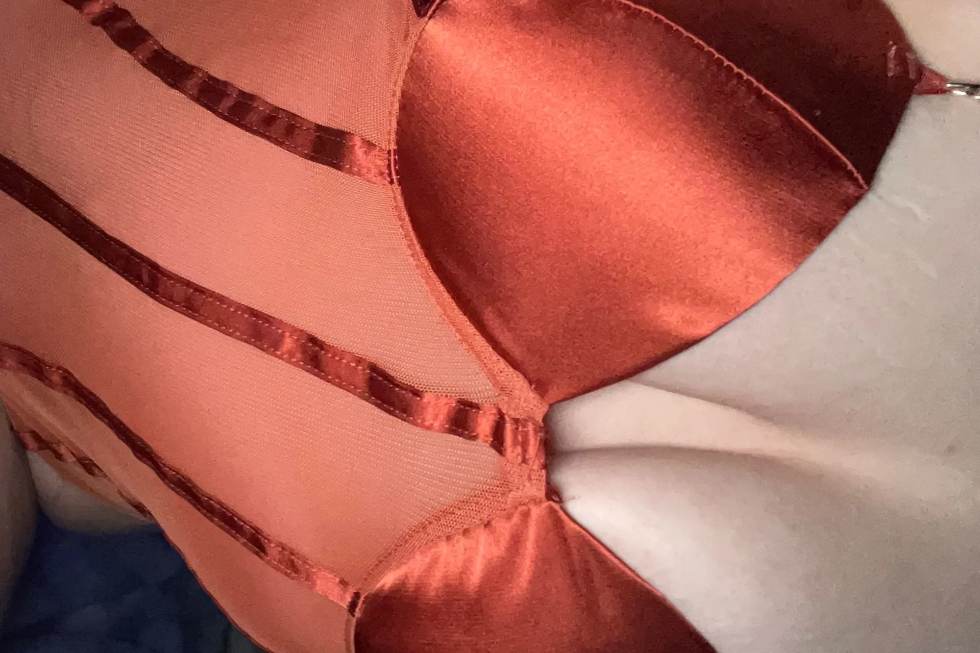 💓 The Pink Roses 💓 OnlyFans header