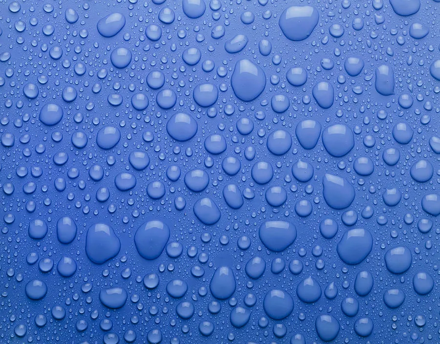 Thiccchick OnlyFans header