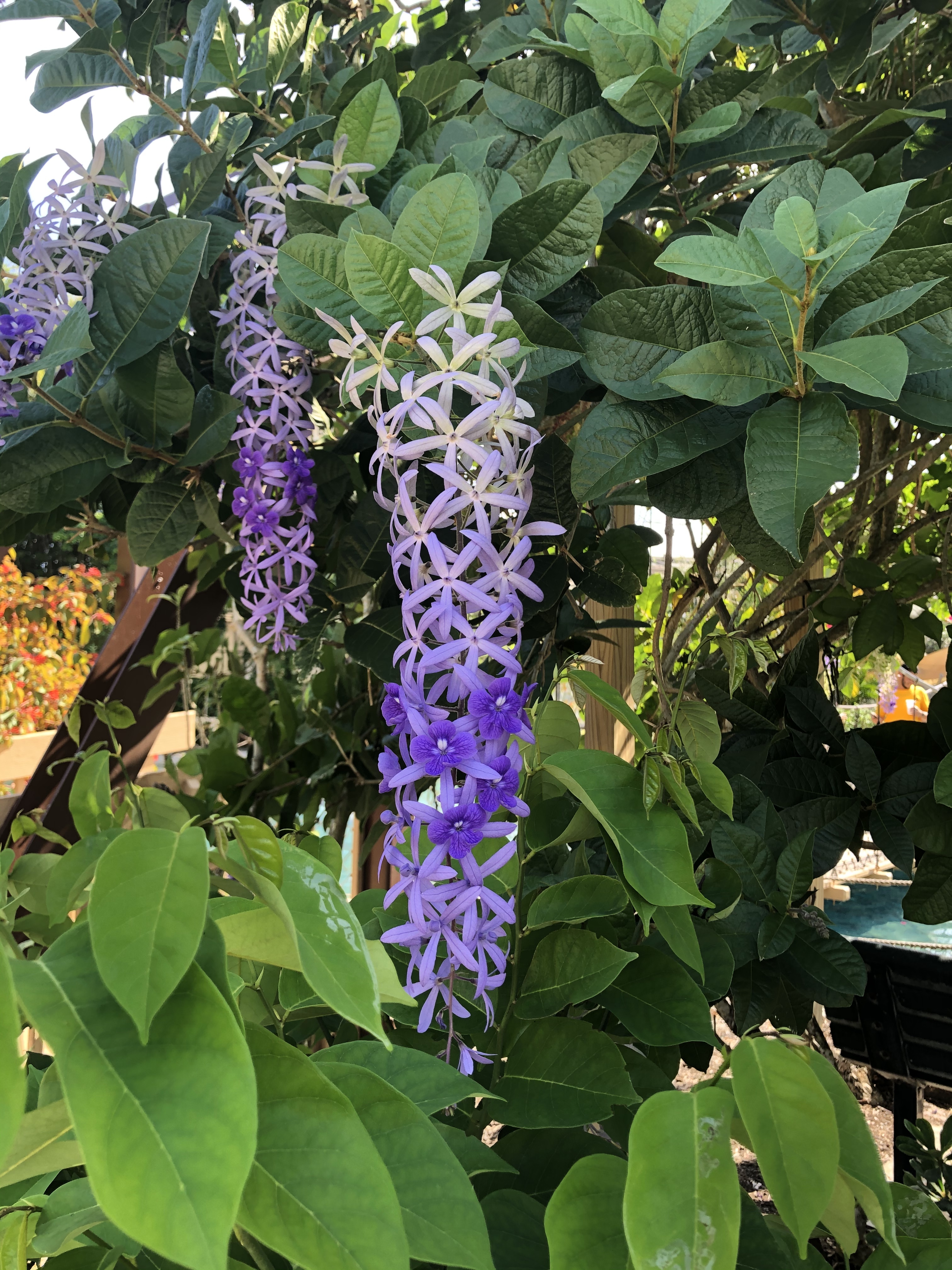 Cristina G OnlyFans header