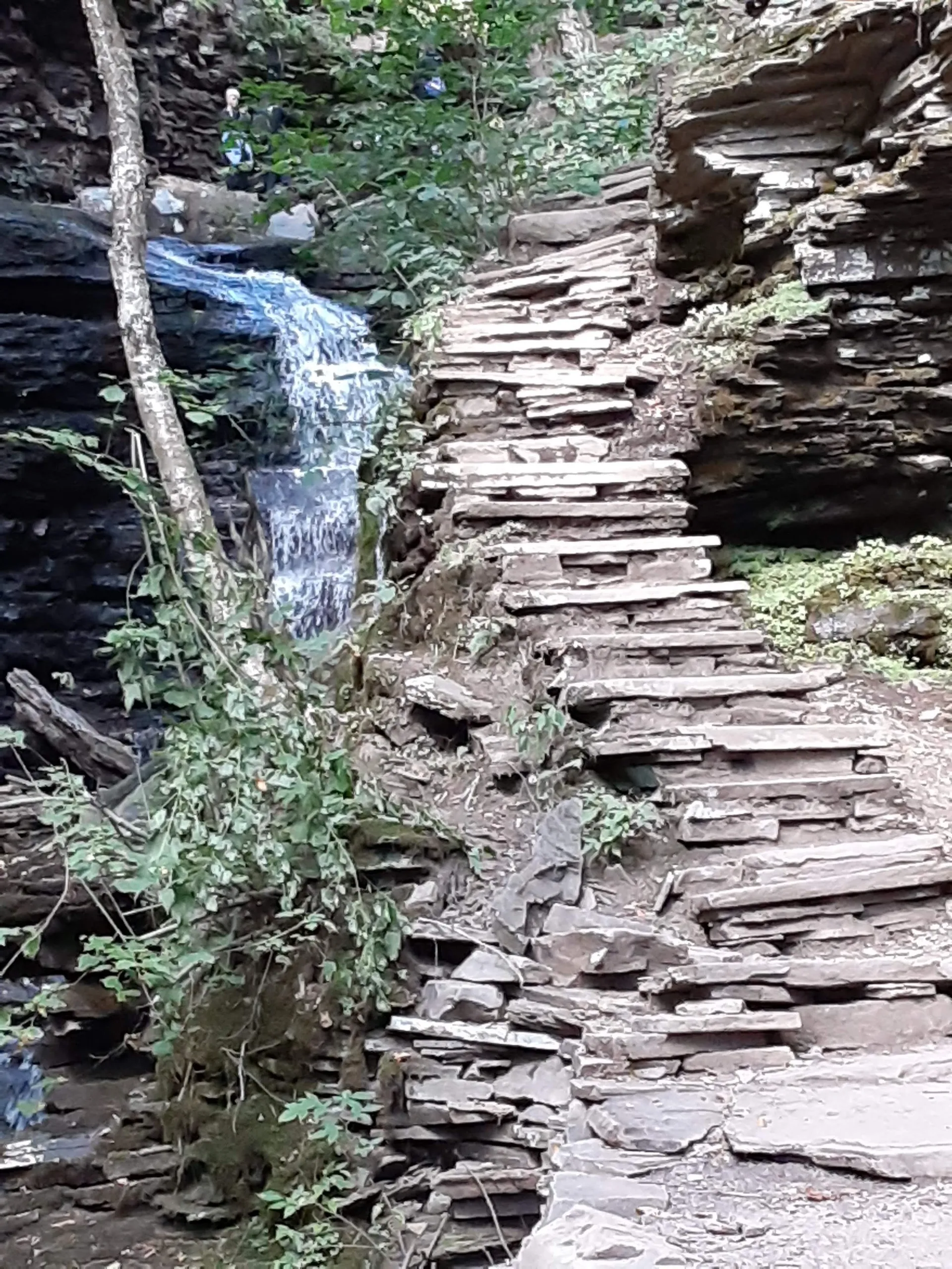 Xtina OnlyFans header