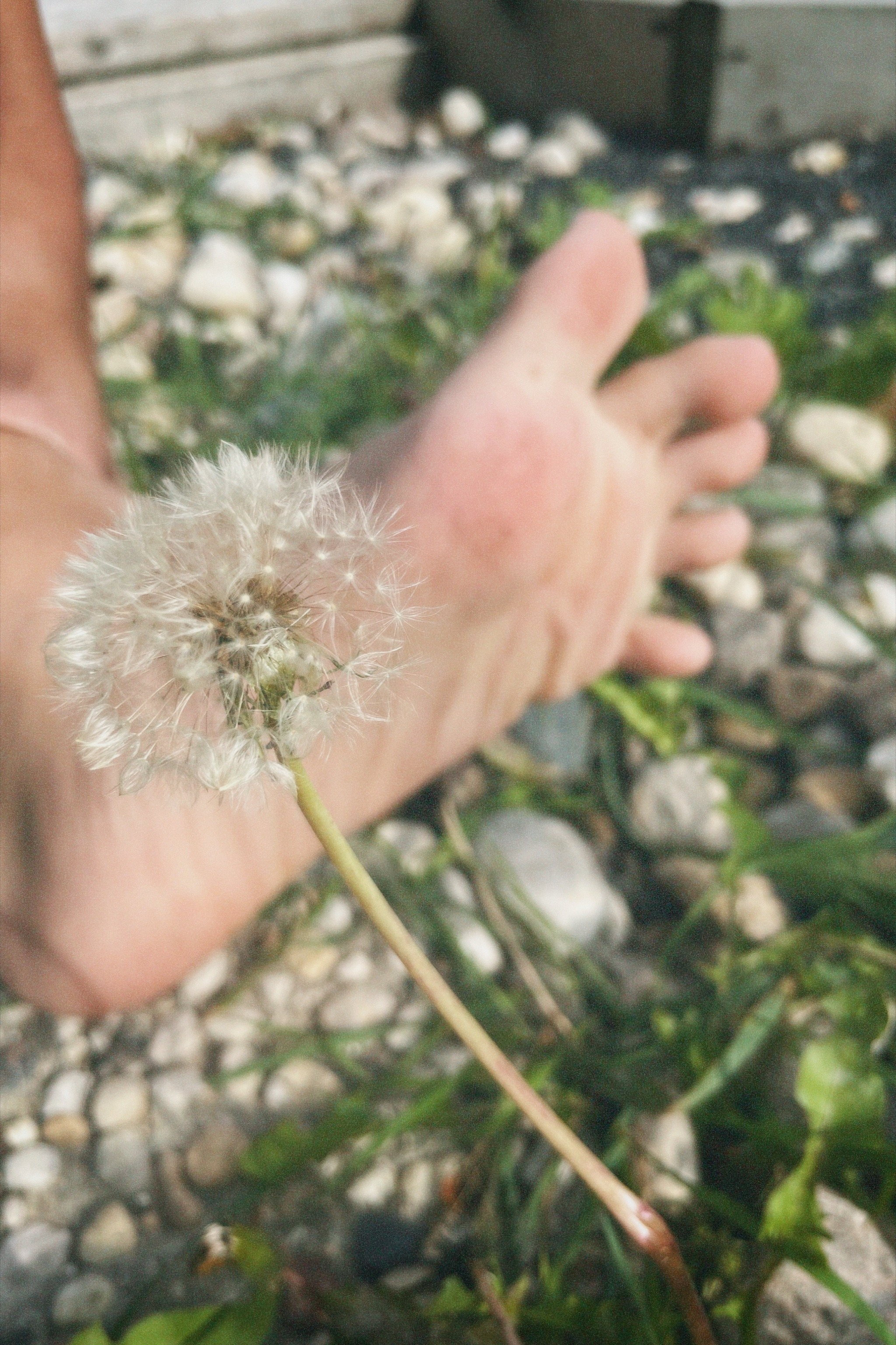 Ms. Twinkerbell OnlyFans header