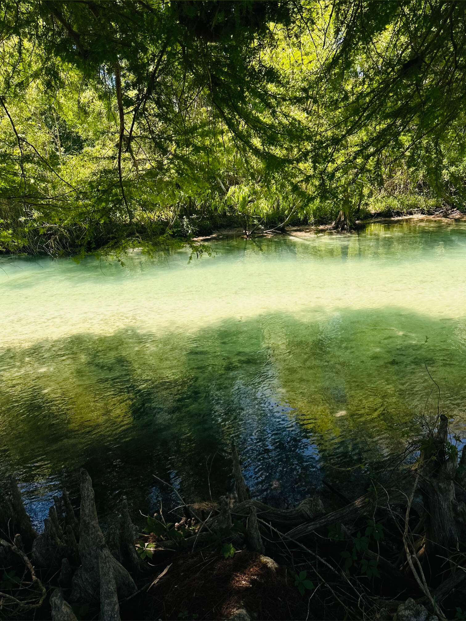 Xushhie OnlyFans header