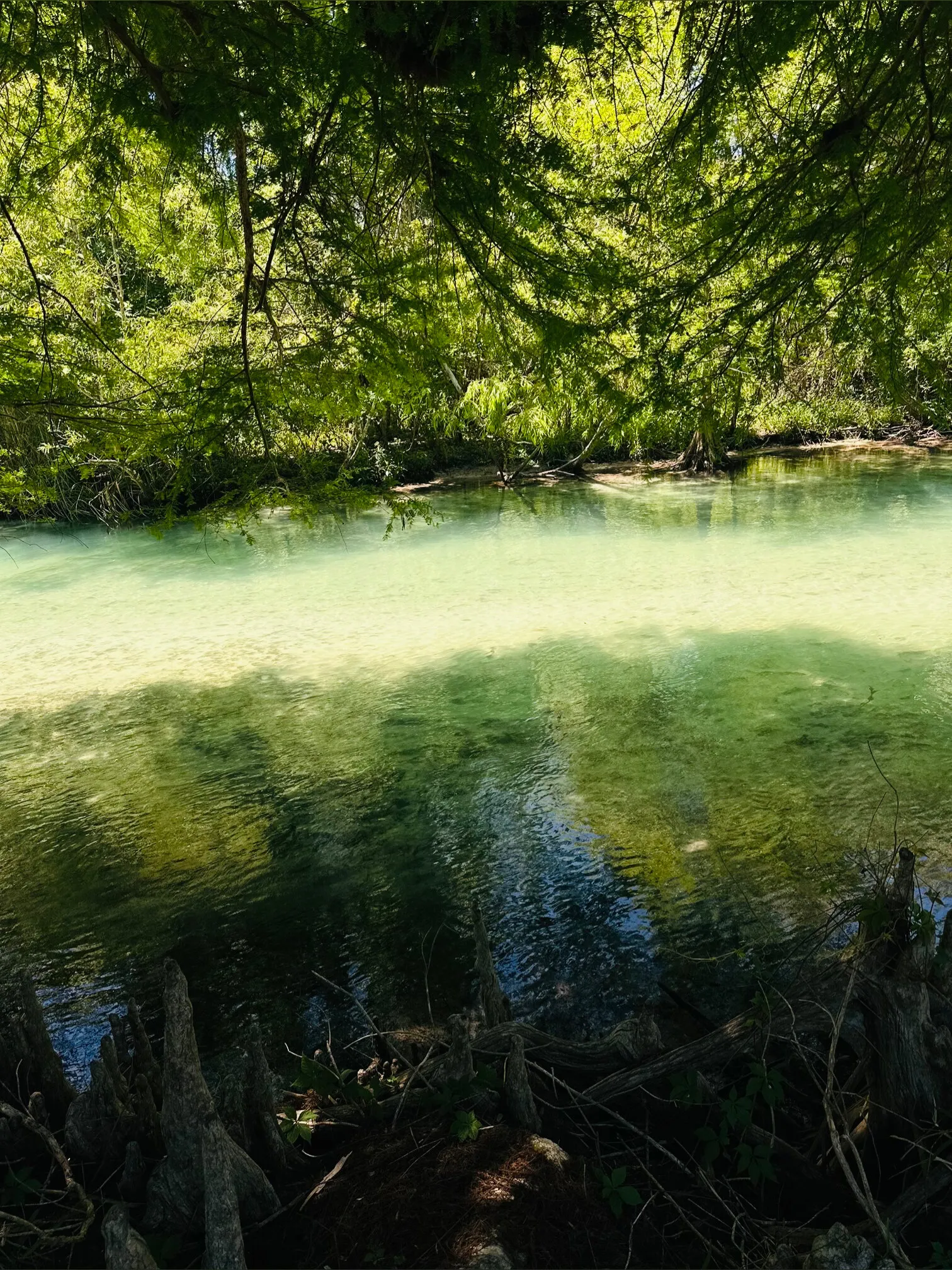 Xushhie OnlyFans header