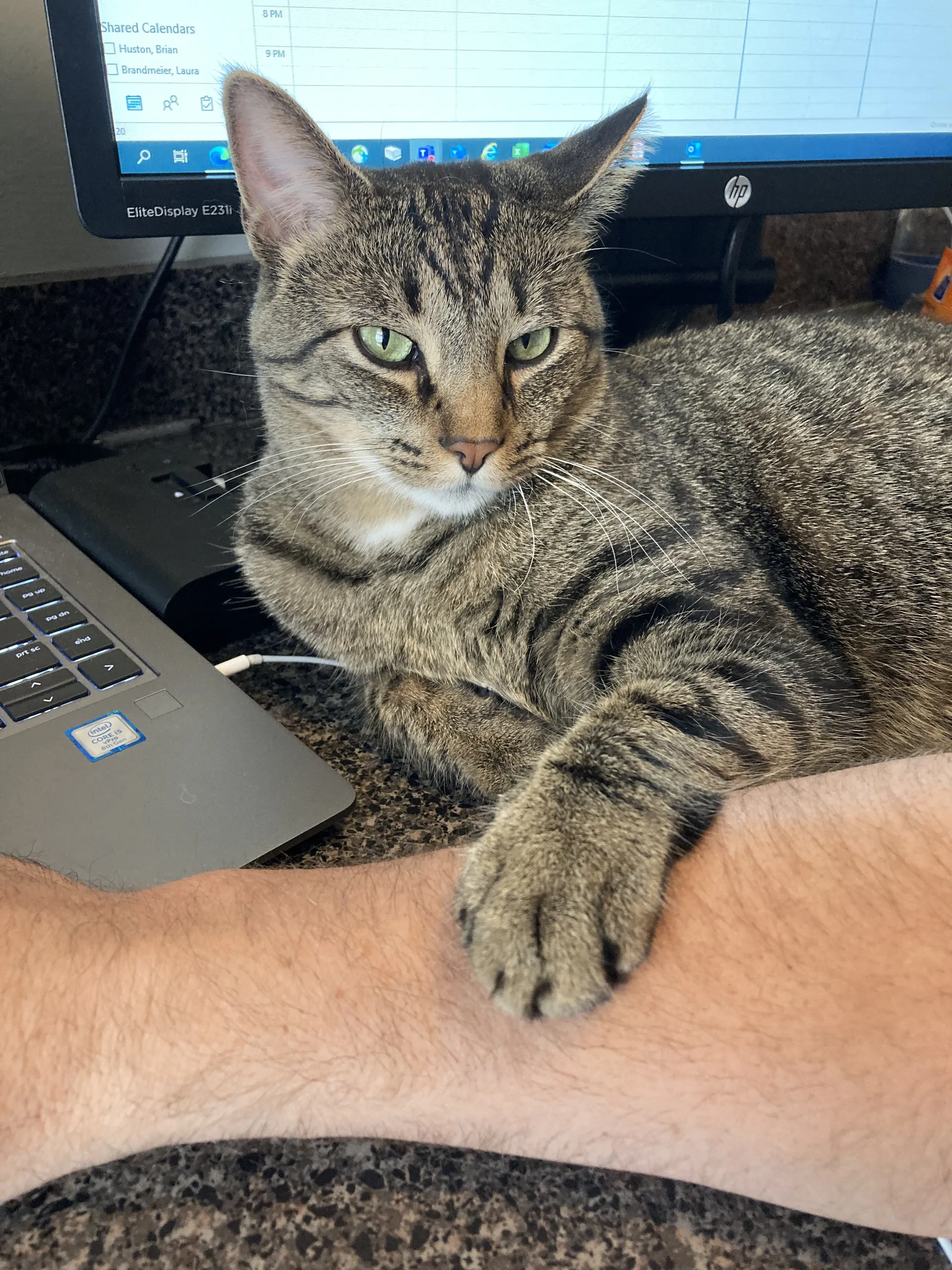 Brian OnlyFans header