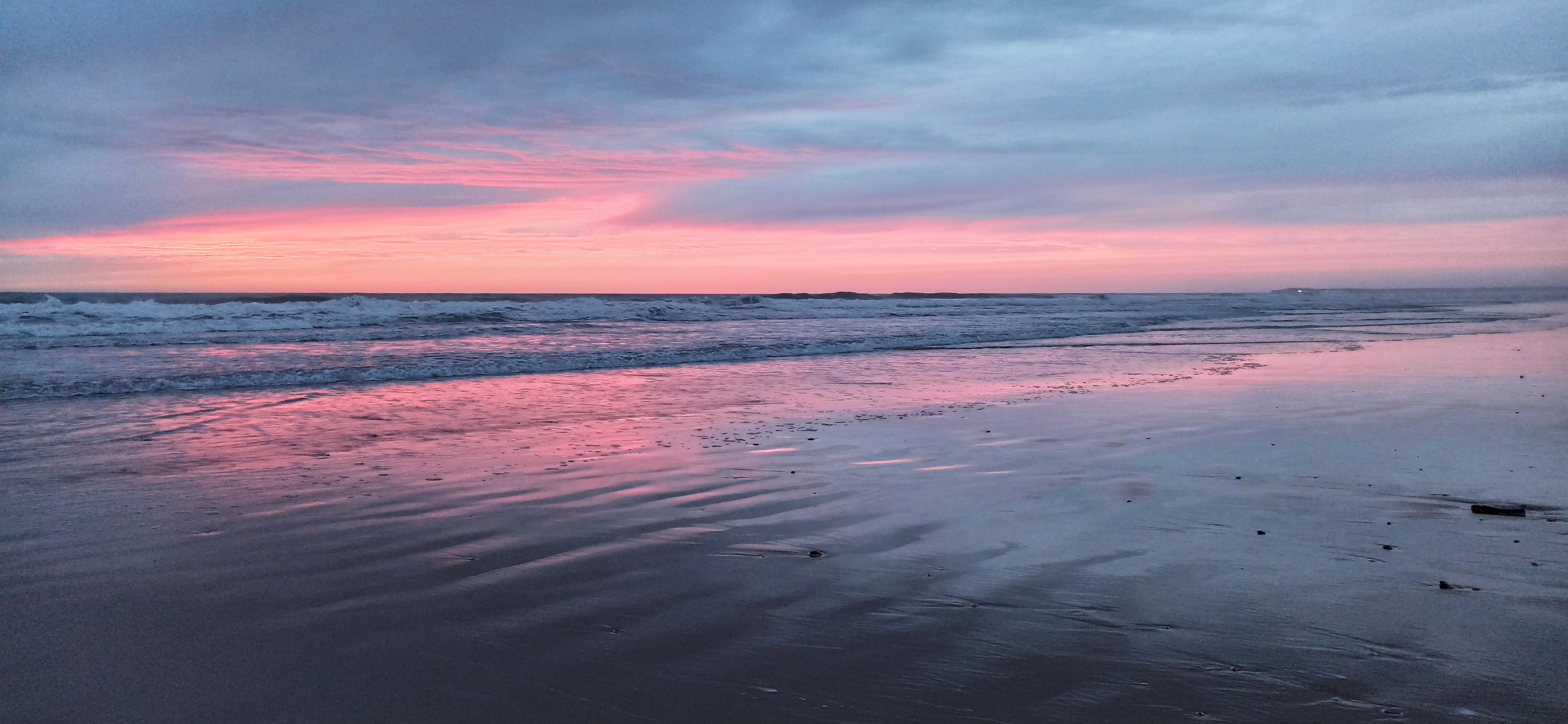 Vega OnlyFans header