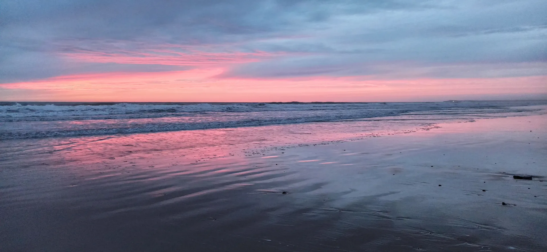 Vega OnlyFans header