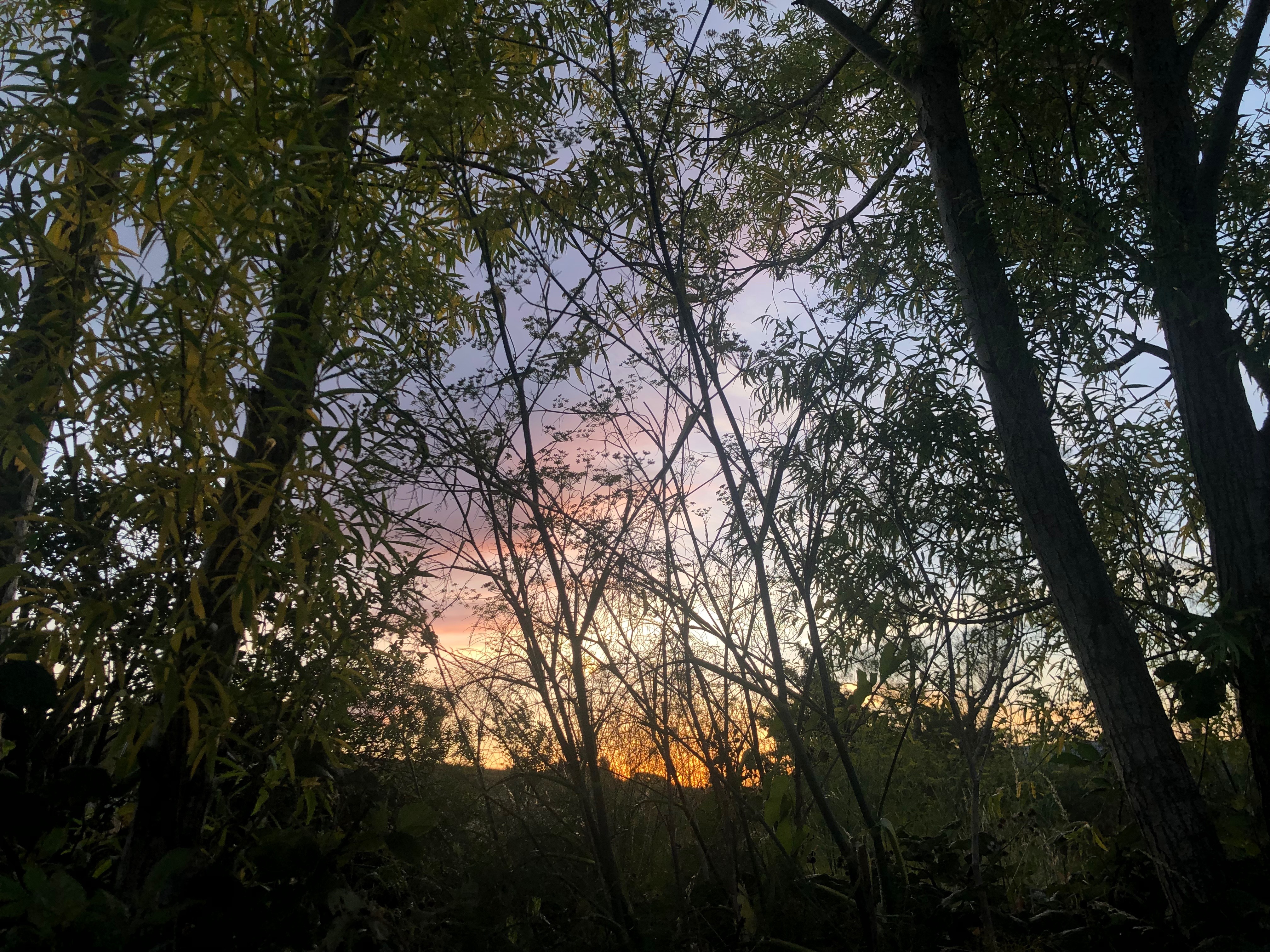 tinkerbell OnlyFans header