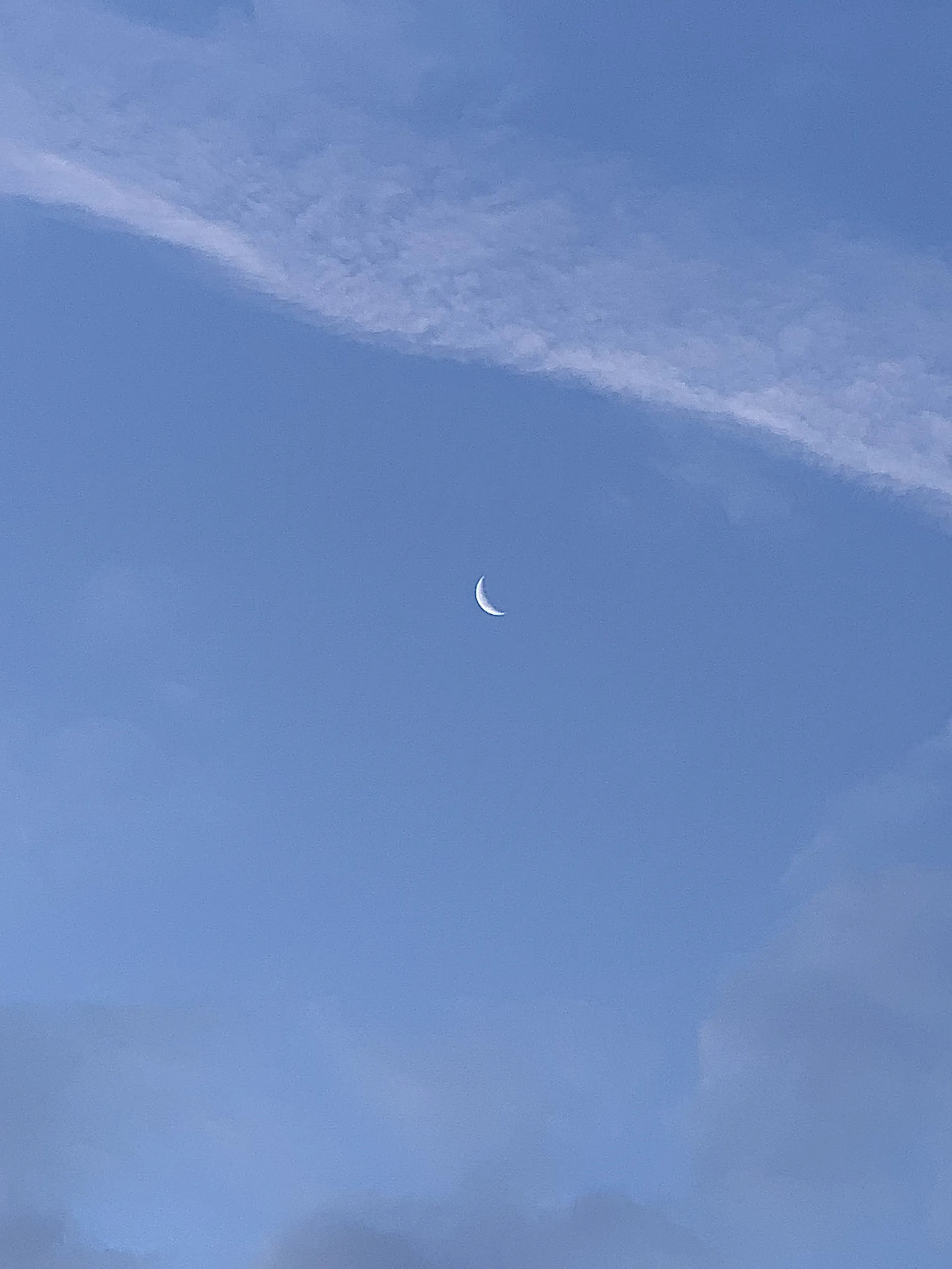 Althea🌞 OnlyFans header