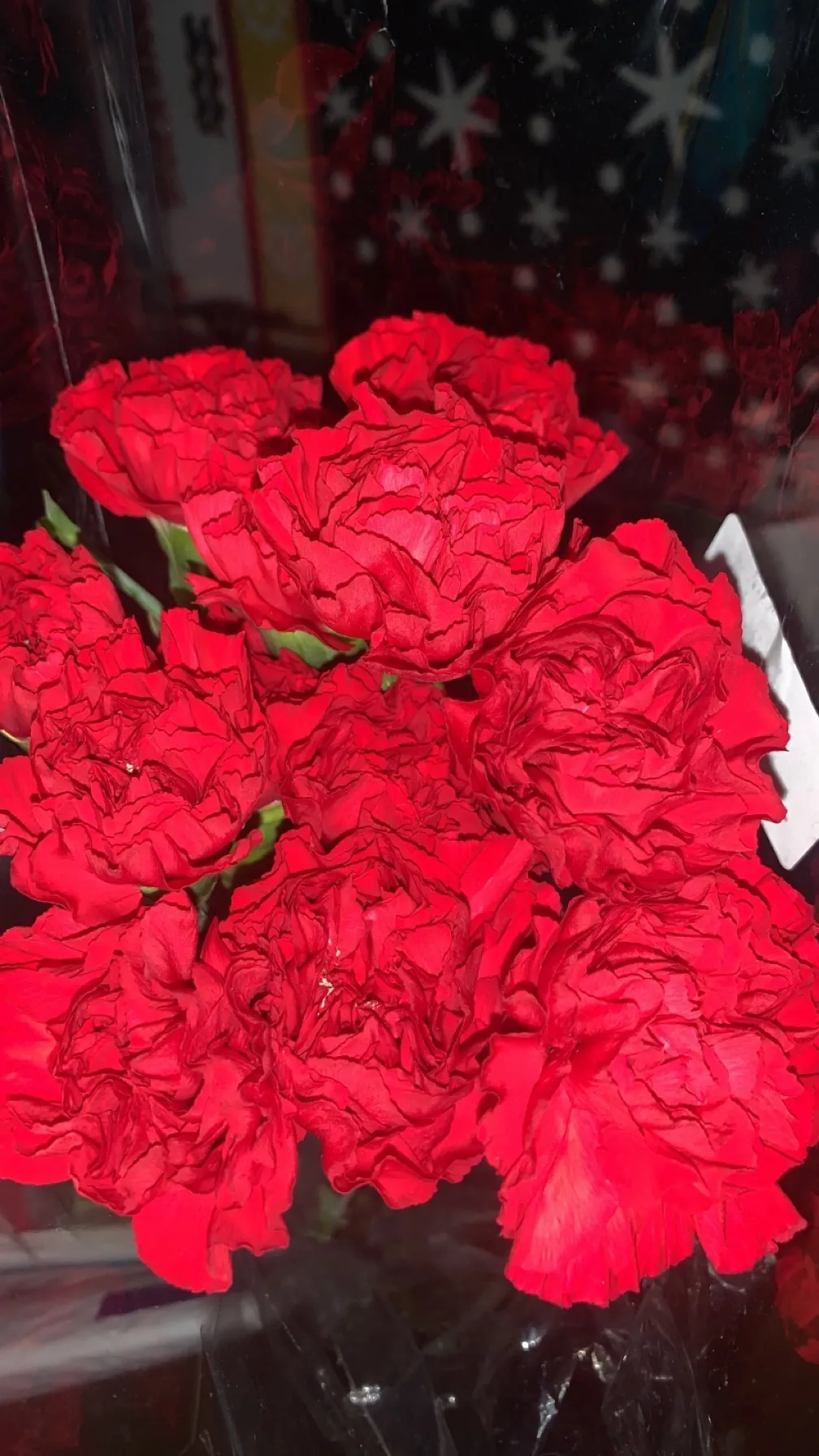 Atomic Firefly OnlyFans header