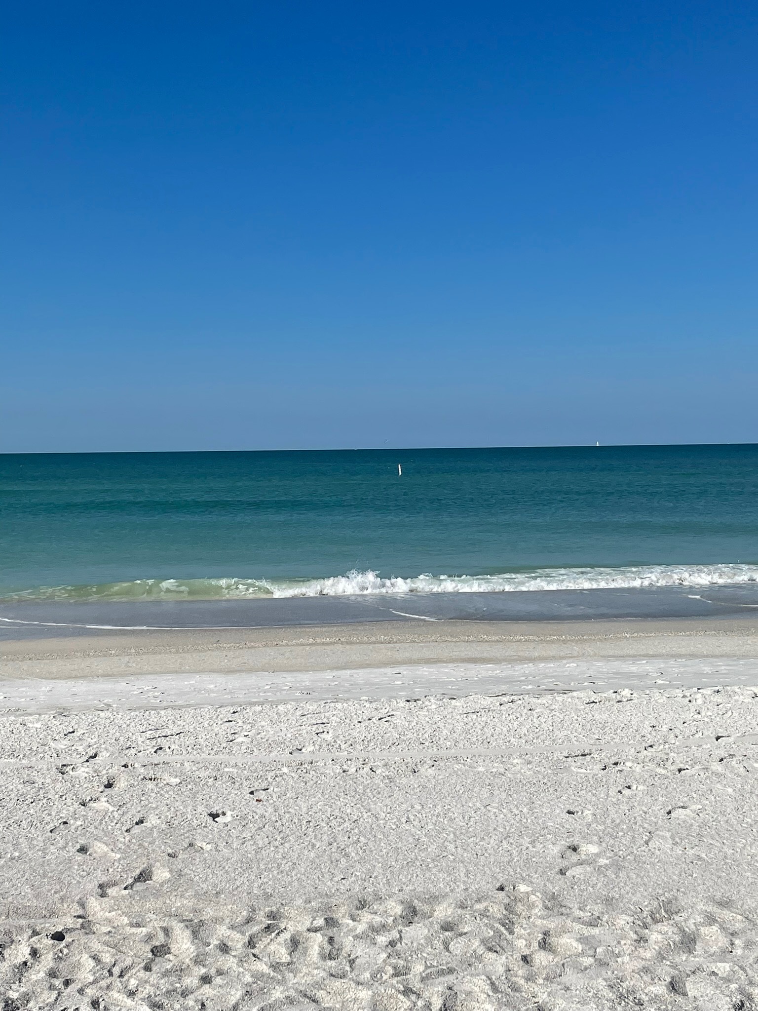 xxchloebaby VIP💘 OnlyFans header