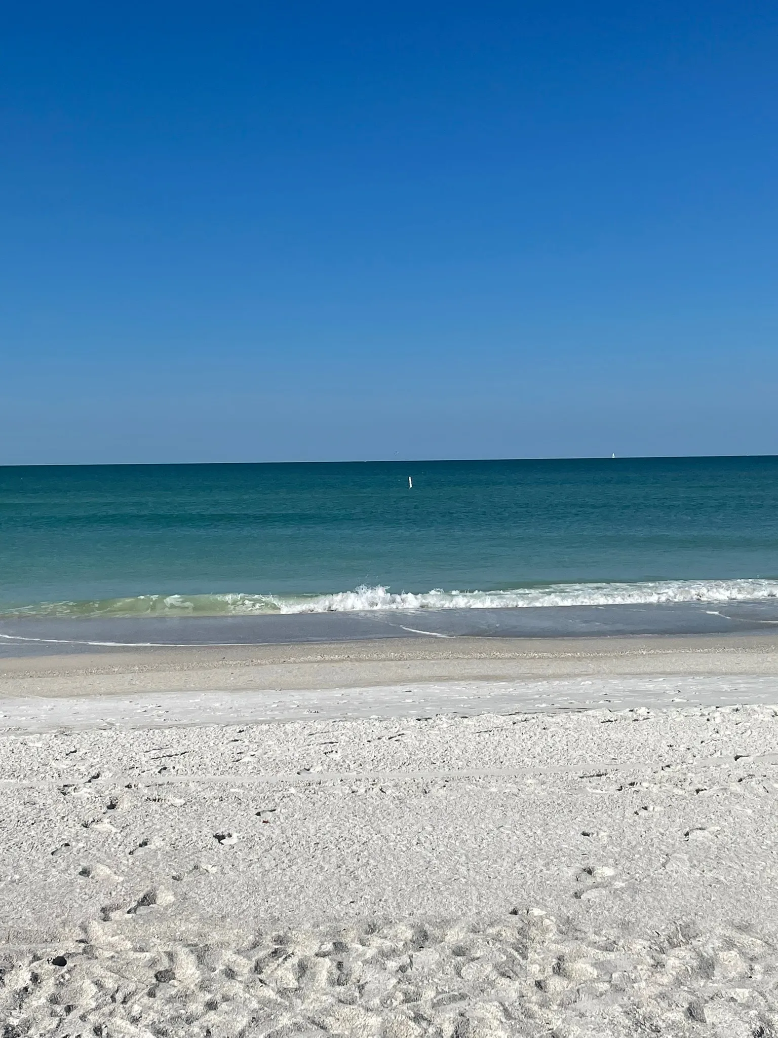 xxchloebaby VIP💘 OnlyFans header