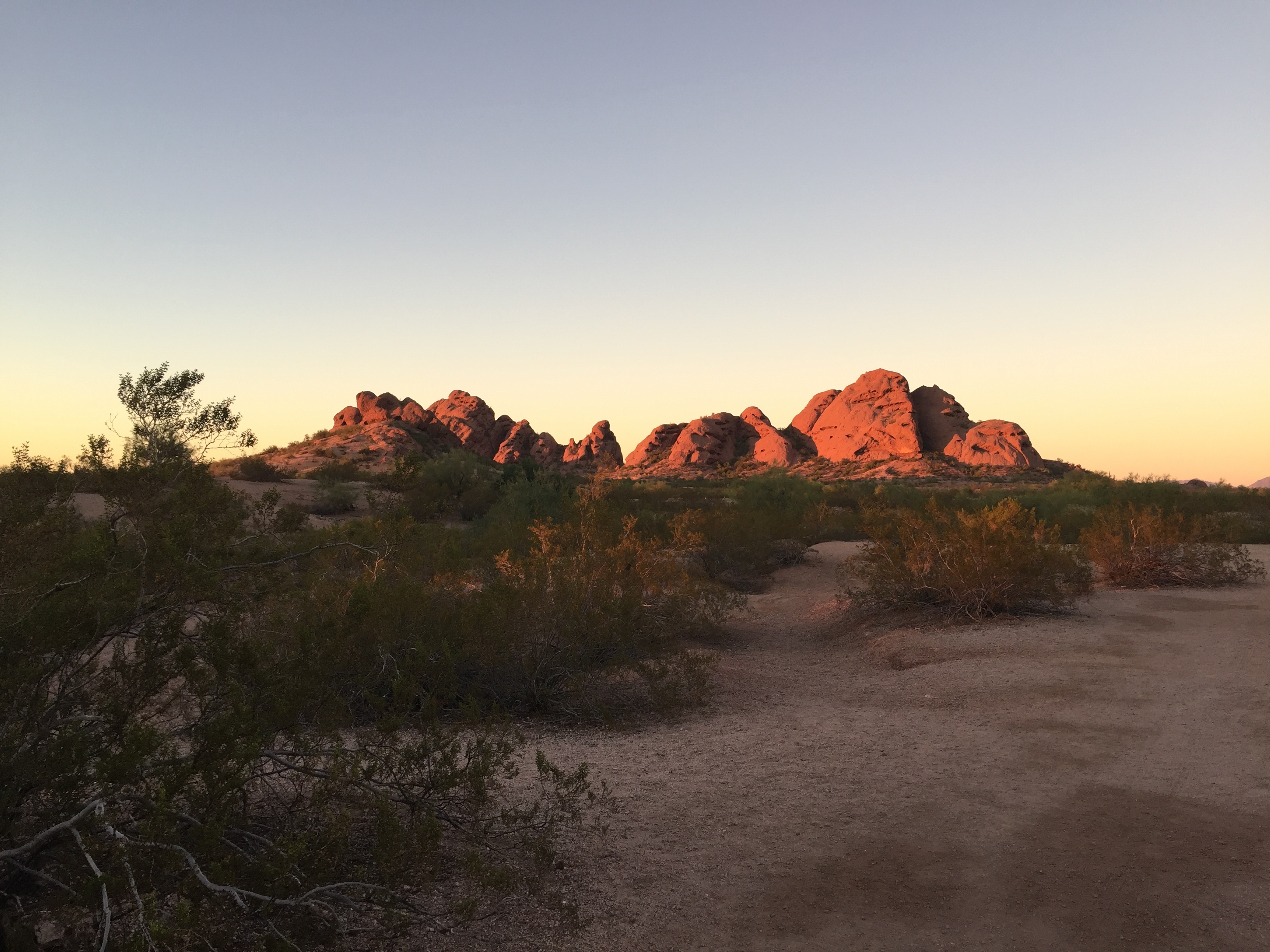 Dana Williams OnlyFans header