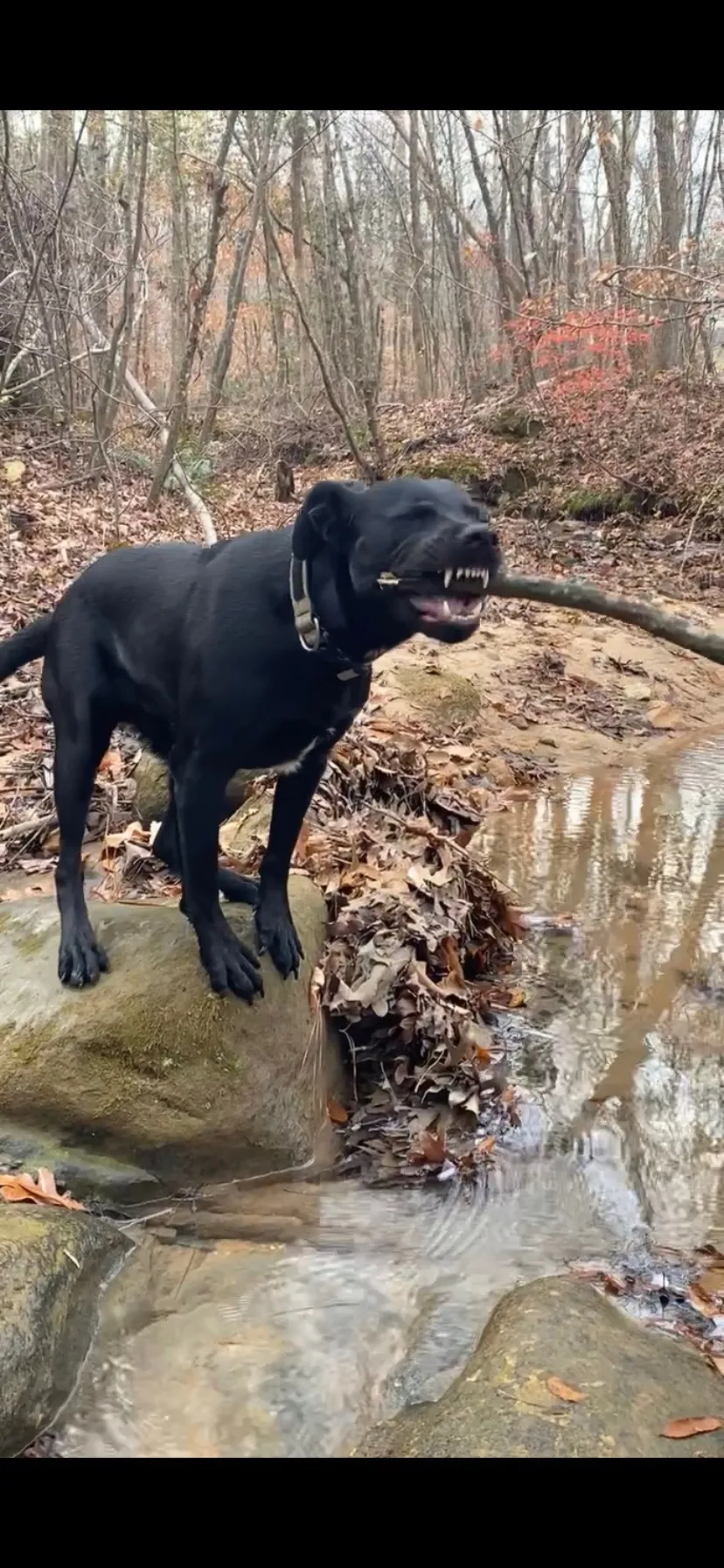 Clapped24v OnlyFans header