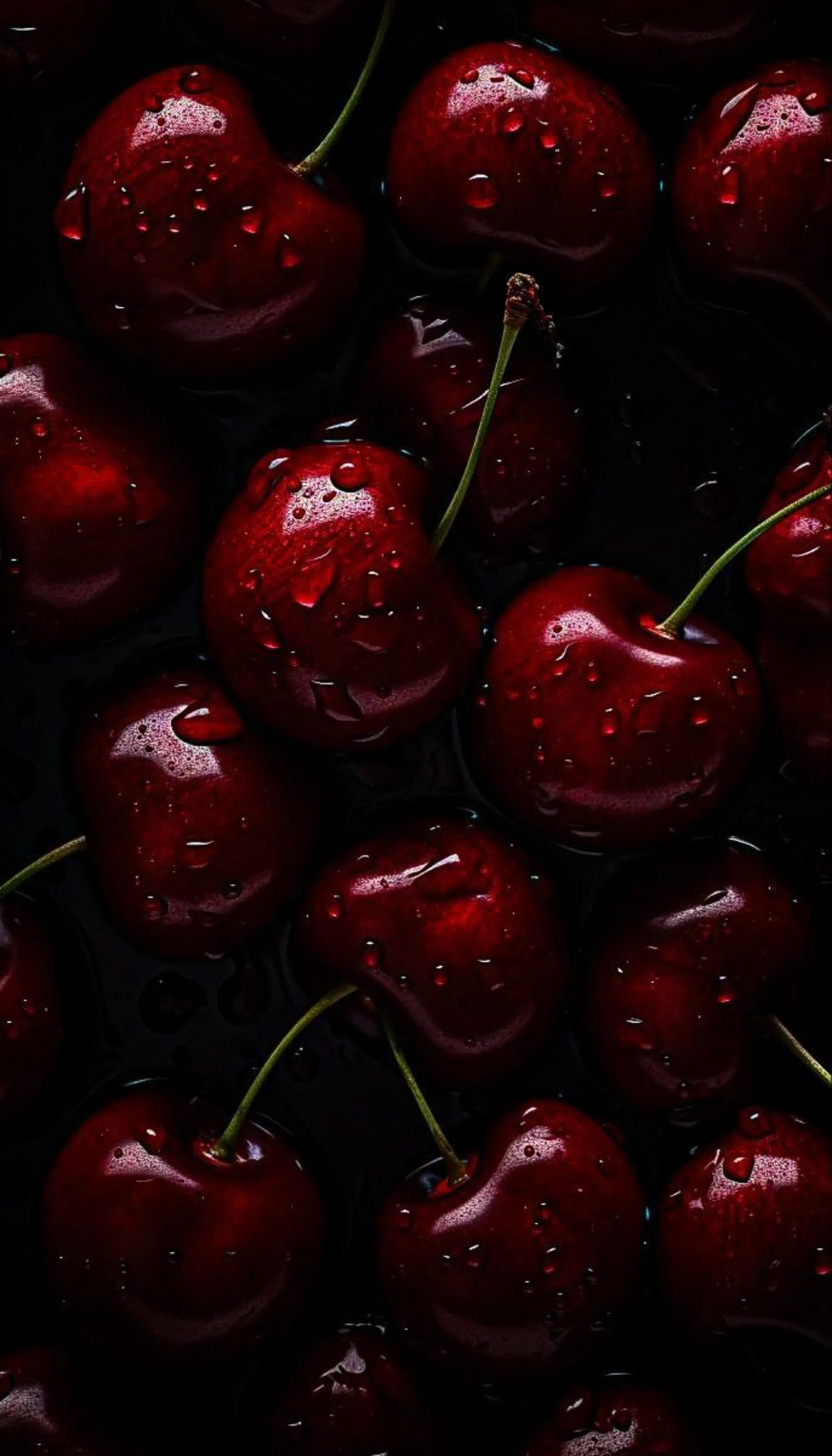 Kitty💕 OnlyFans header