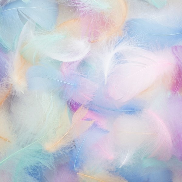 KINKY Babe OnlyFans header