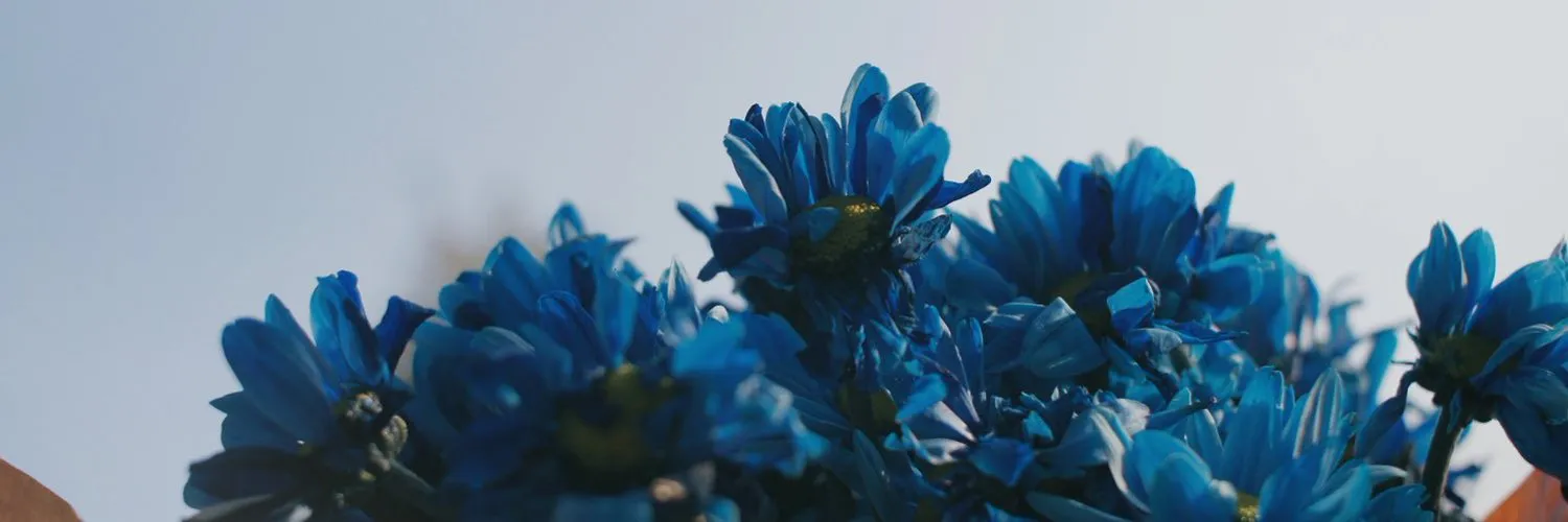 子子 OnlyFans header