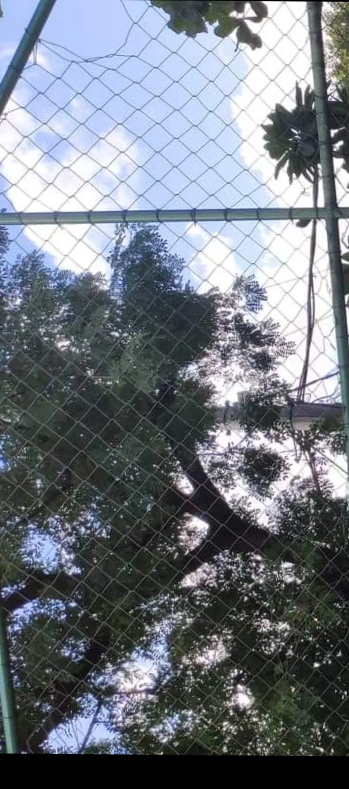 Xxlgui OnlyFans header