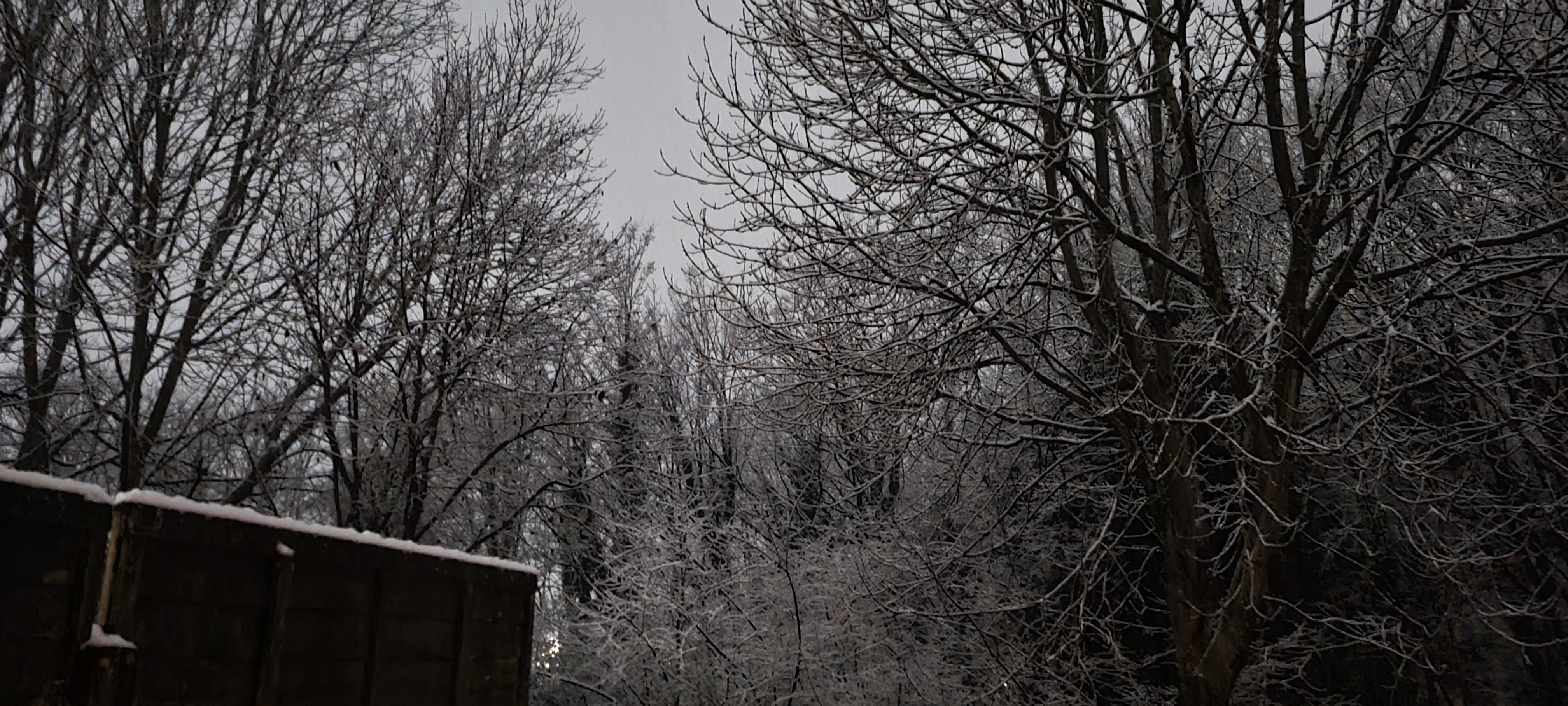 Loubear OnlyFans header