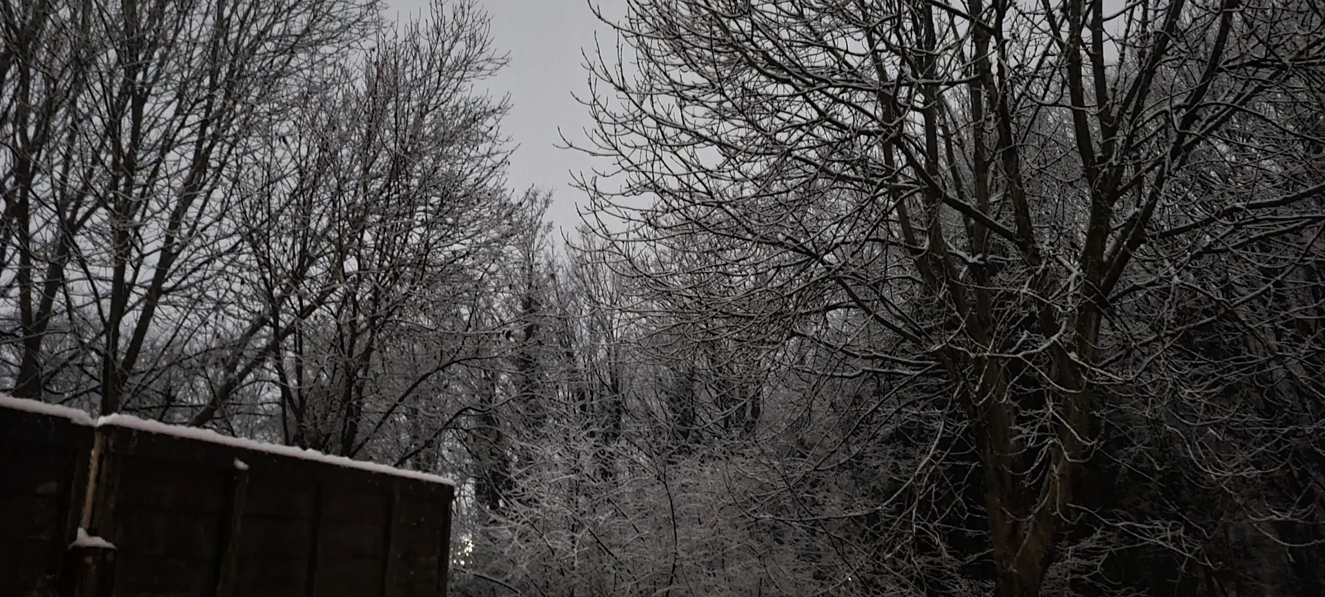 Loubear OnlyFans header