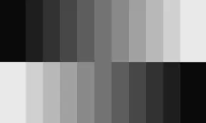 🔞 OnlyFans header