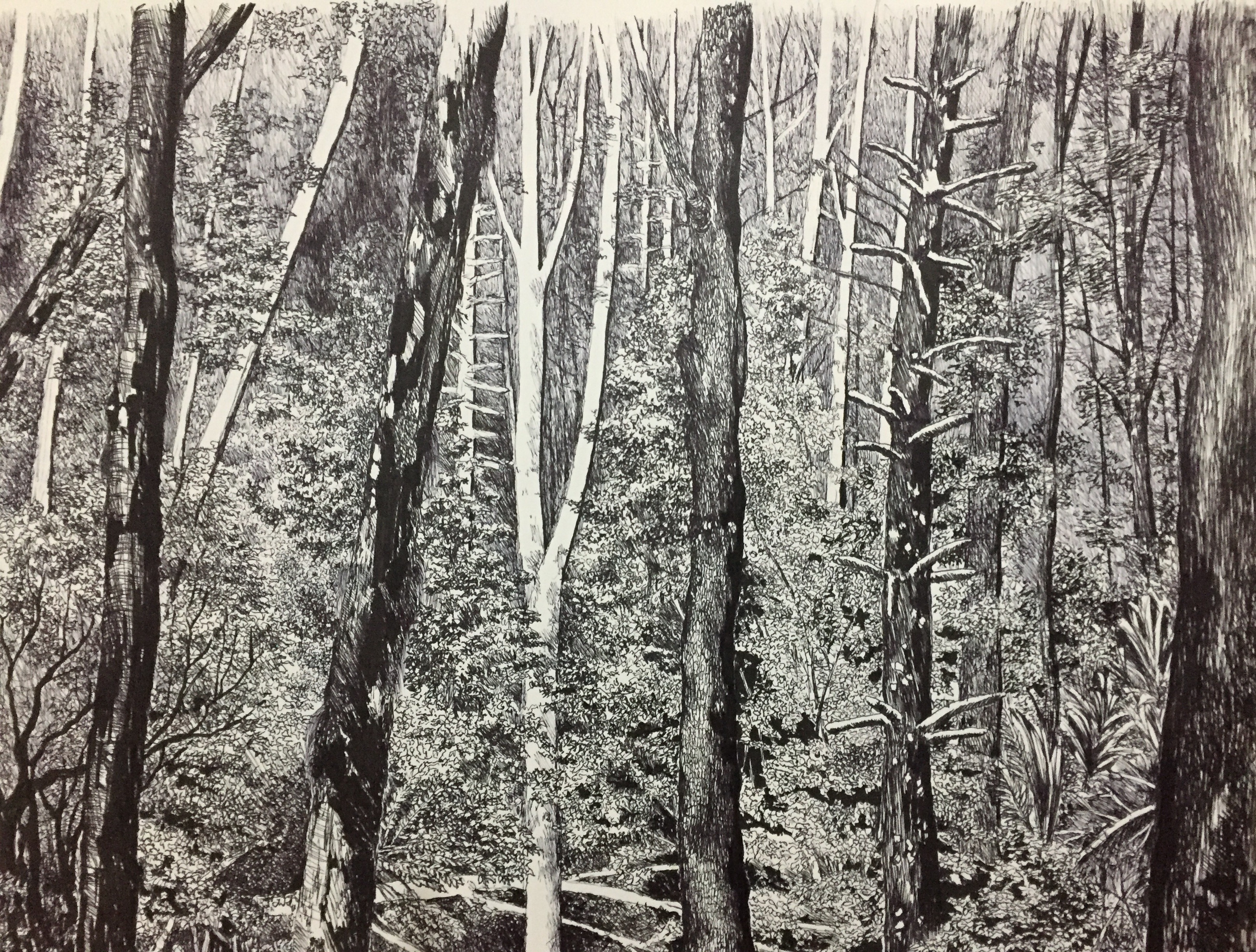 xxprzz OnlyFans header