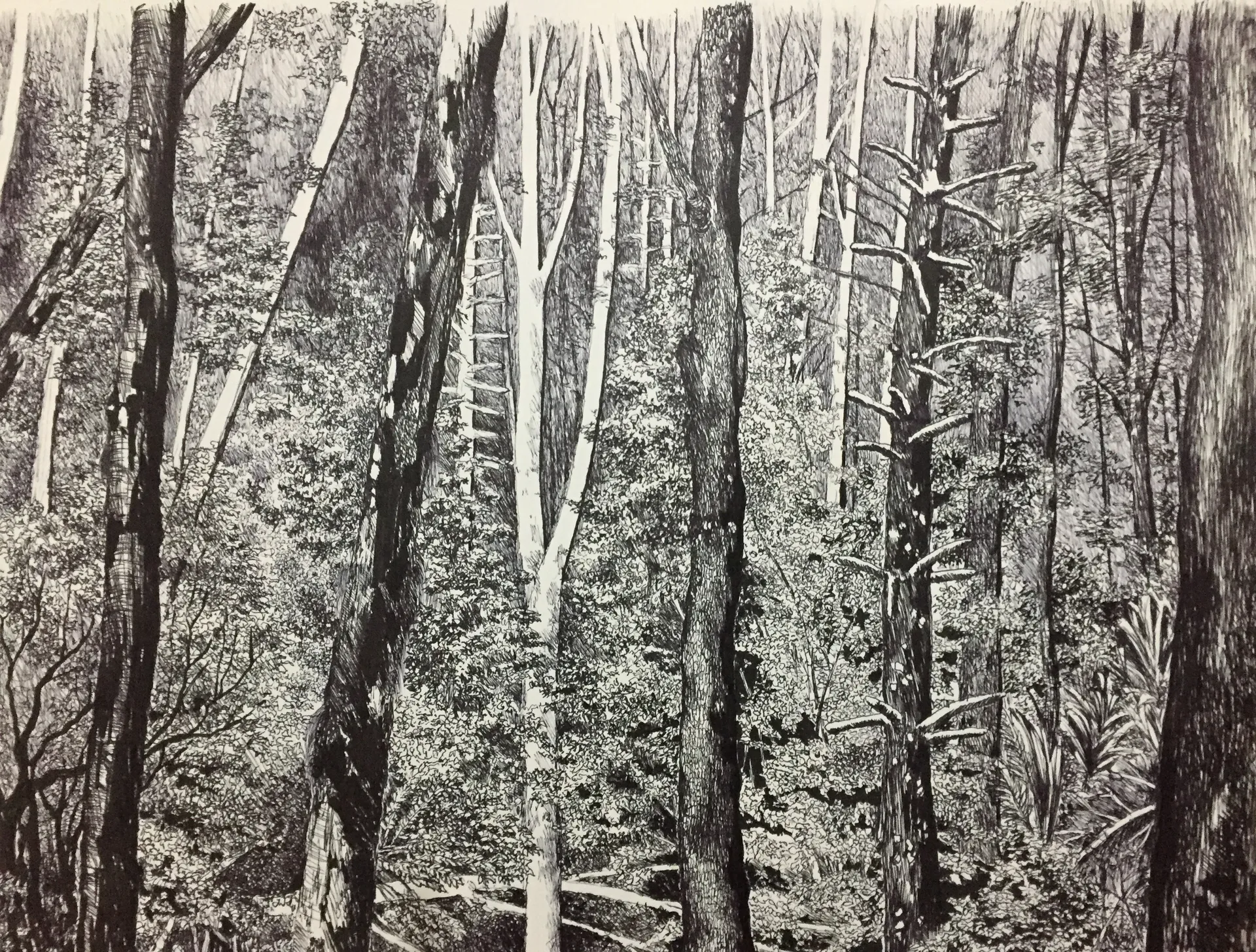 xxprzz OnlyFans header