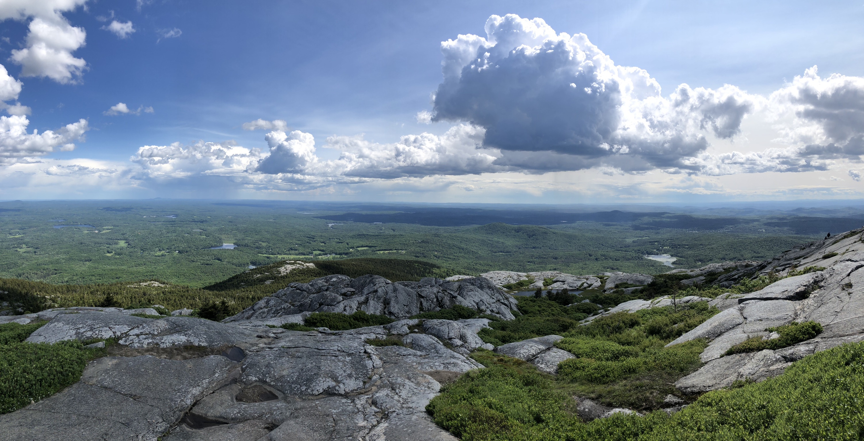 Pup Devian OnlyFans header