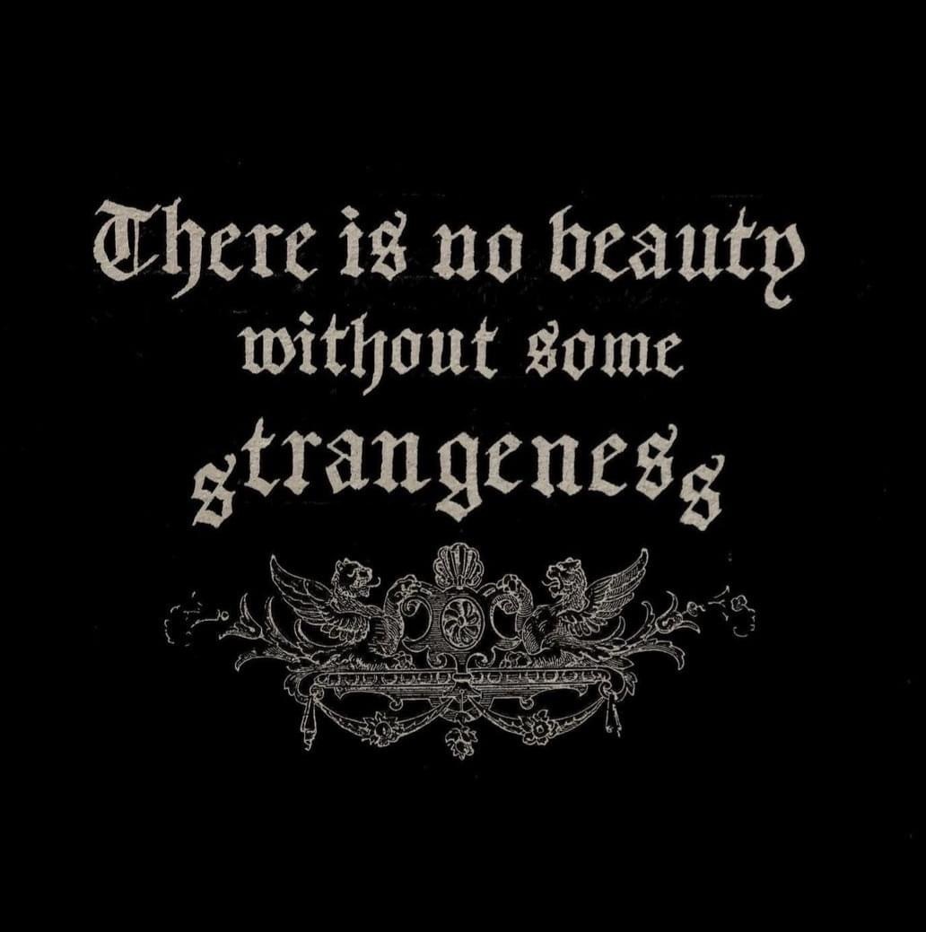 xXRogue_RoseXx OnlyFans header