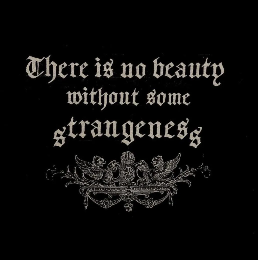 xXRogue_RoseXx OnlyFans header