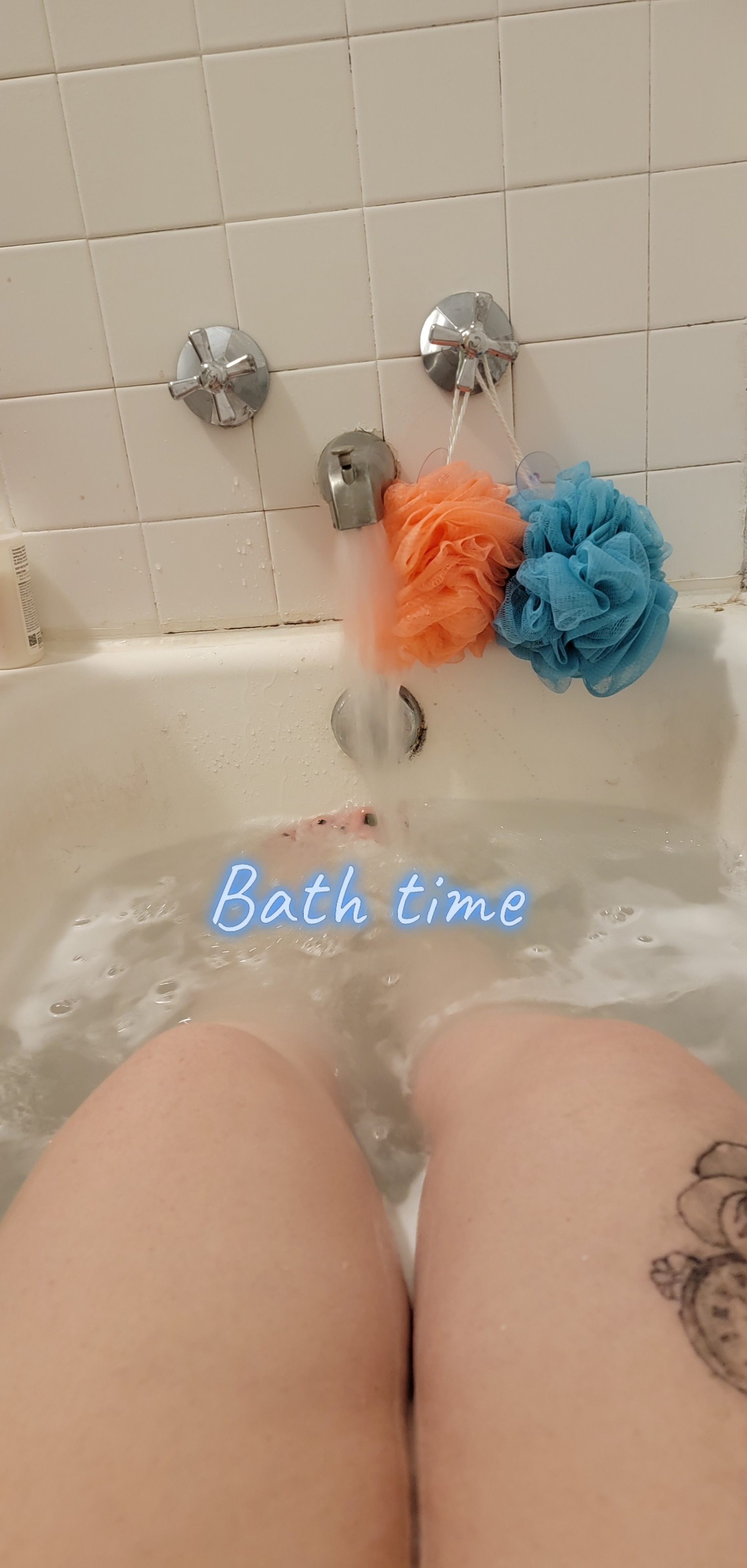 Stephanie OnlyFans header