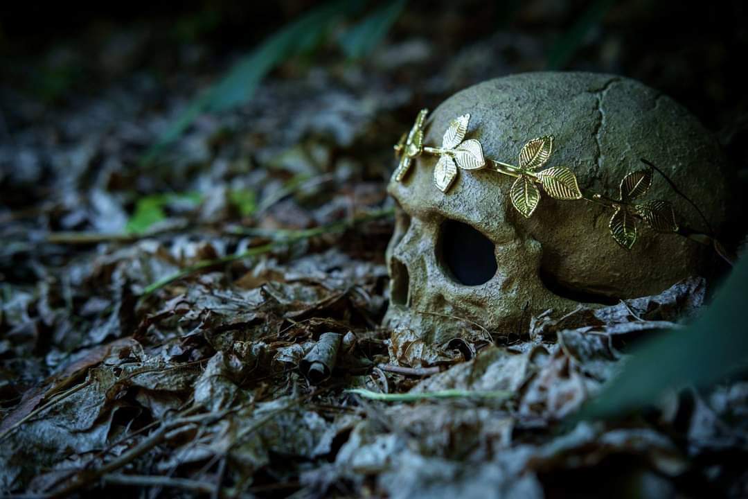 Sasha Jean OnlyFans header