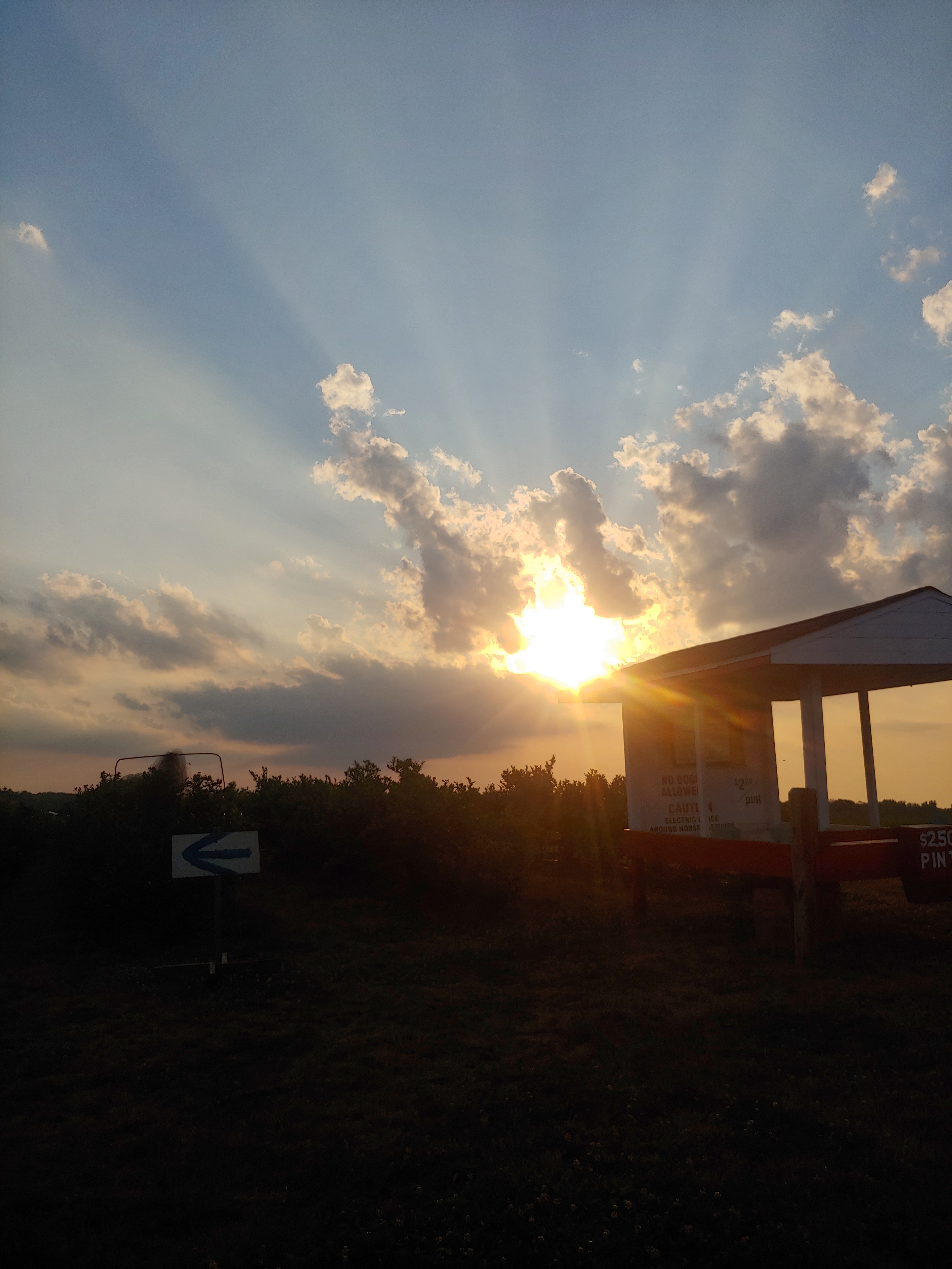 Trinity OnlyFans header