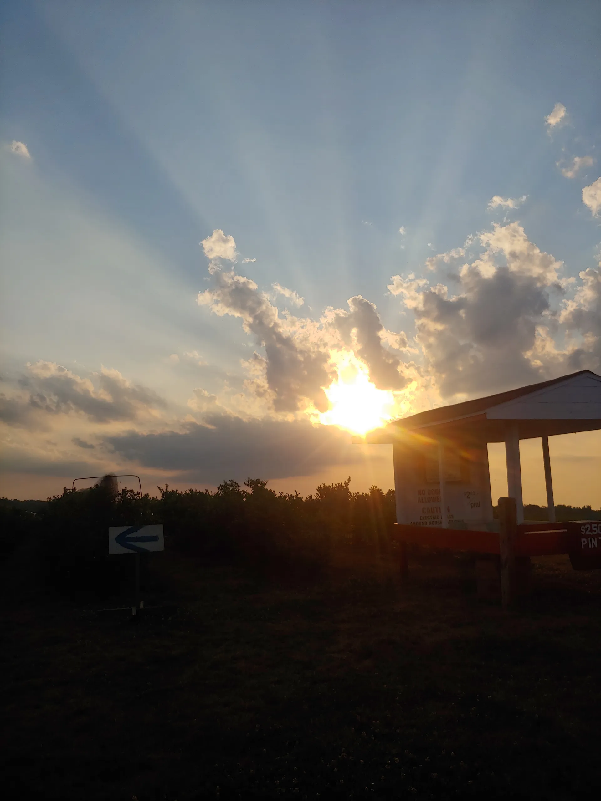 Trinity OnlyFans header