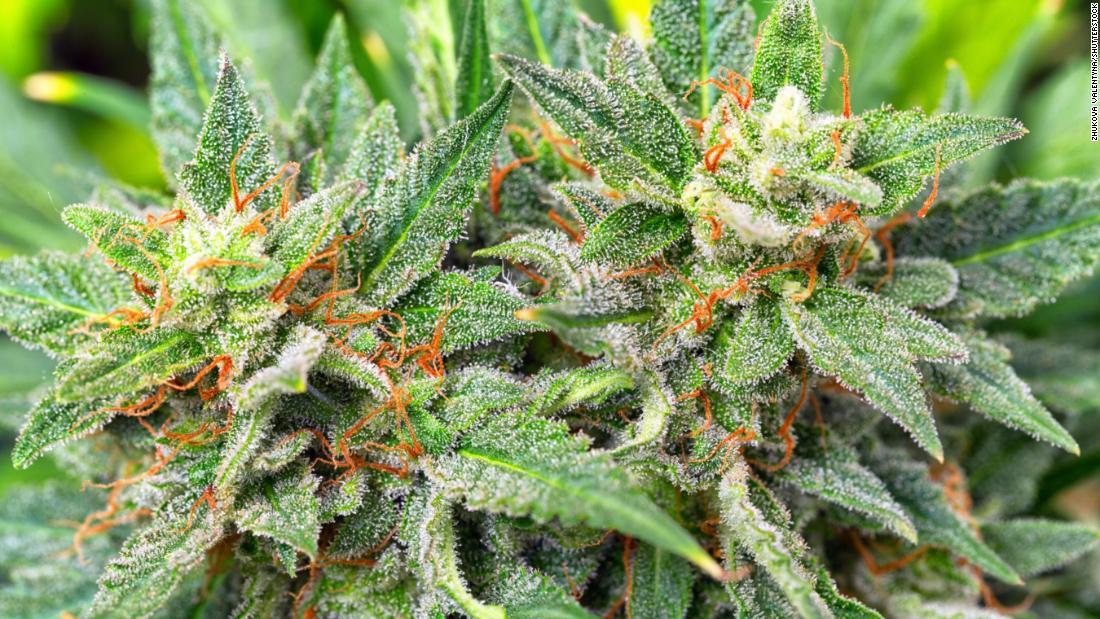 xxx415 OnlyFans header