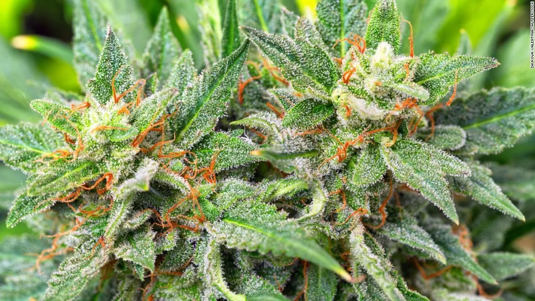 xxx415 OnlyFans header