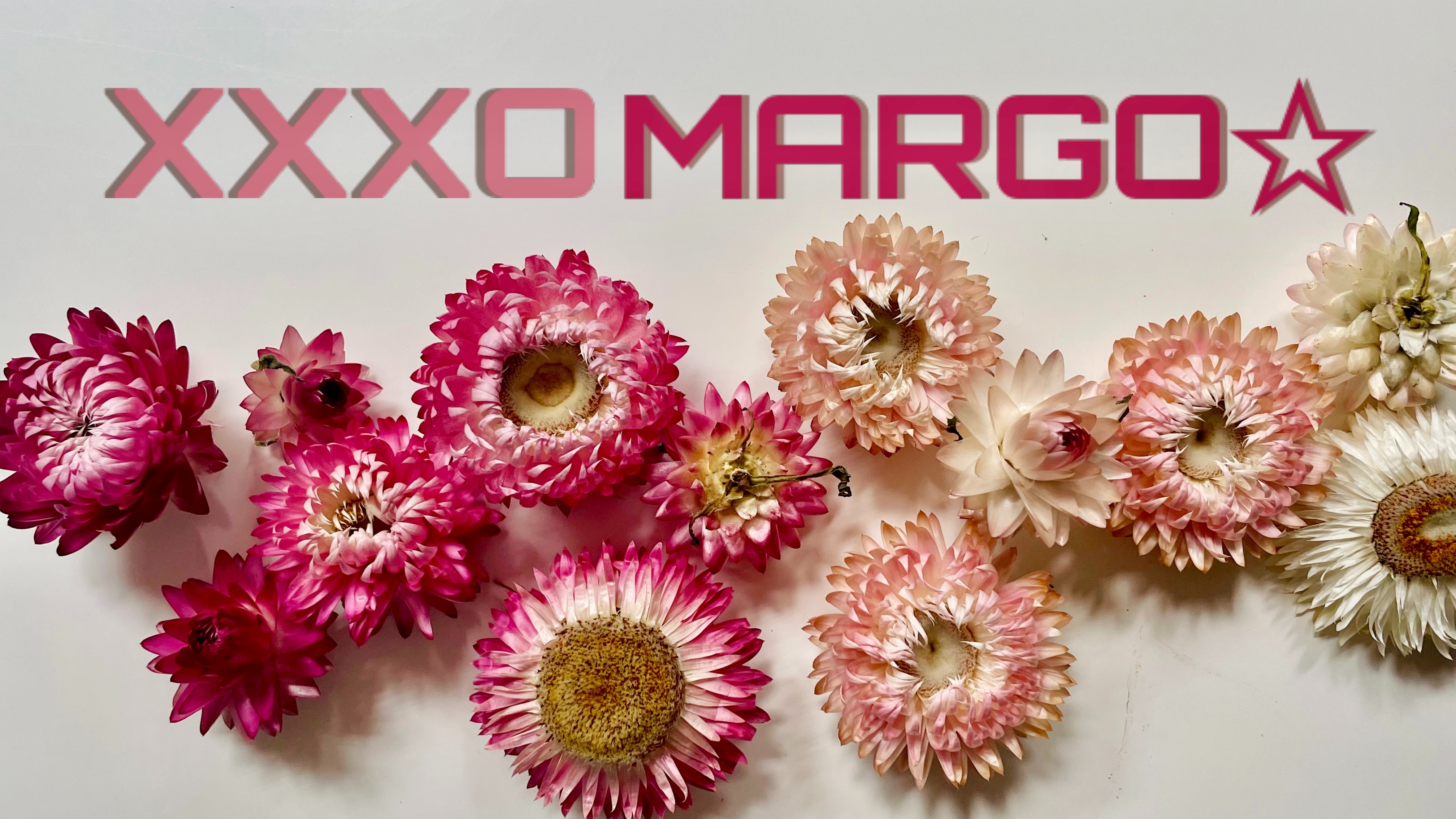 Margo Starr OnlyFans header