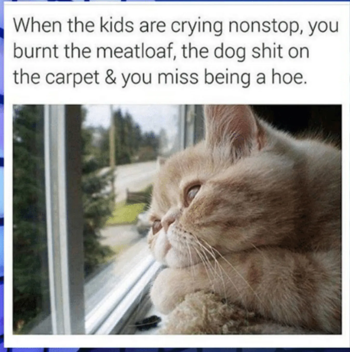 rachel roxxx OnlyFans header