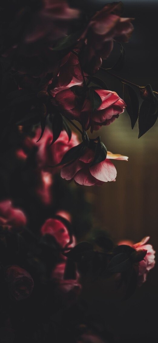 ✨ Sky Baby ✨ OnlyFans header