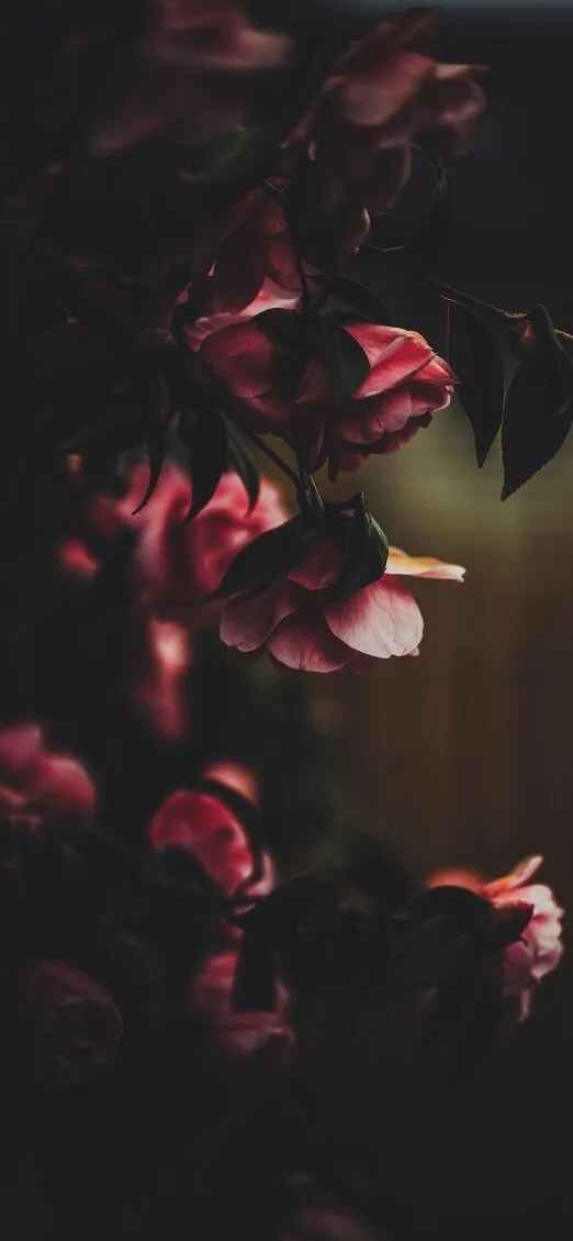 ✨ Sky Baby ✨ OnlyFans header