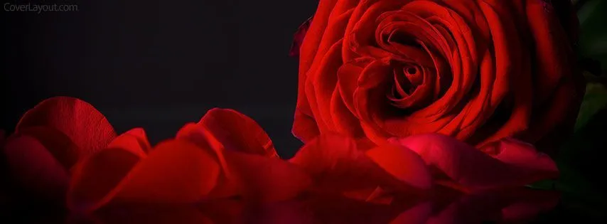 Stella Rose OnlyFans header