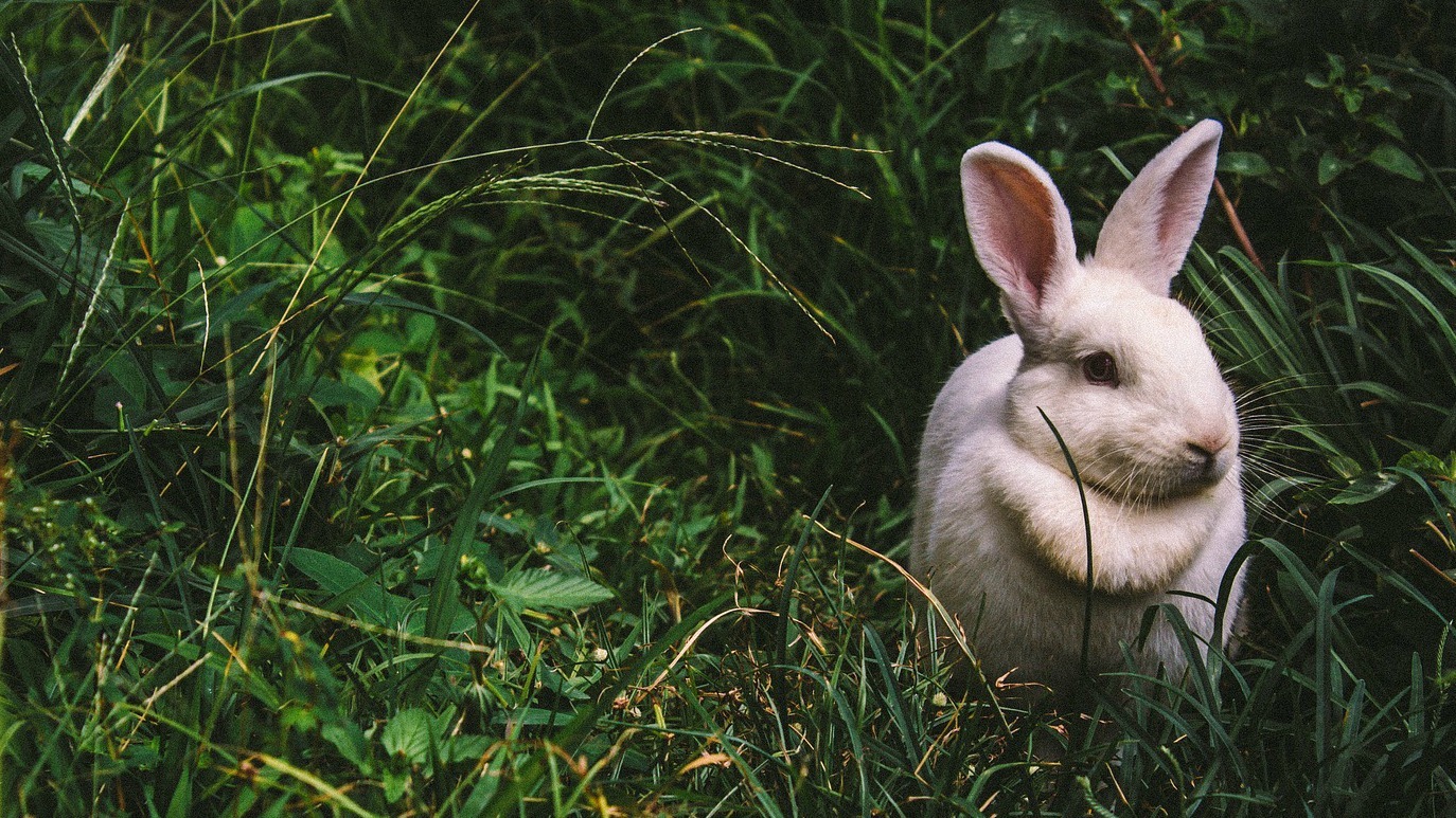 xxxtatic OnlyFans header