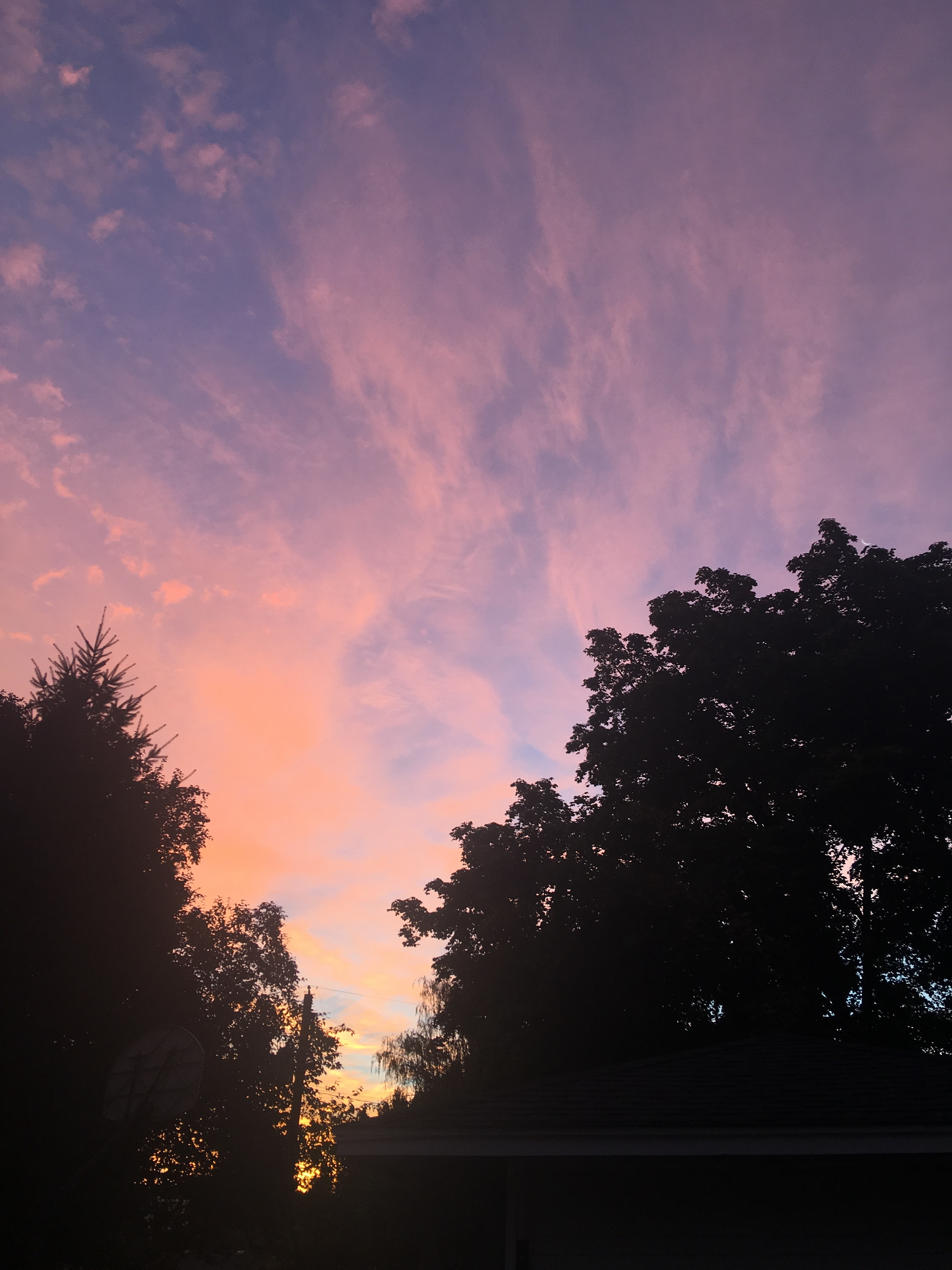 Yoki OnlyFans header