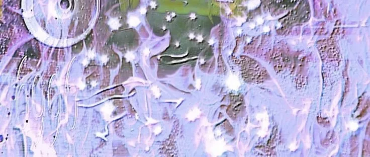 𝐘𝐚𝐦𝐚𝐠𝐮𝐜𝐡𝐢 OnlyFans header