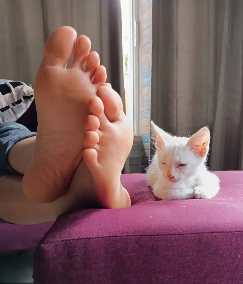 Lily Feet OnlyFans profile picture