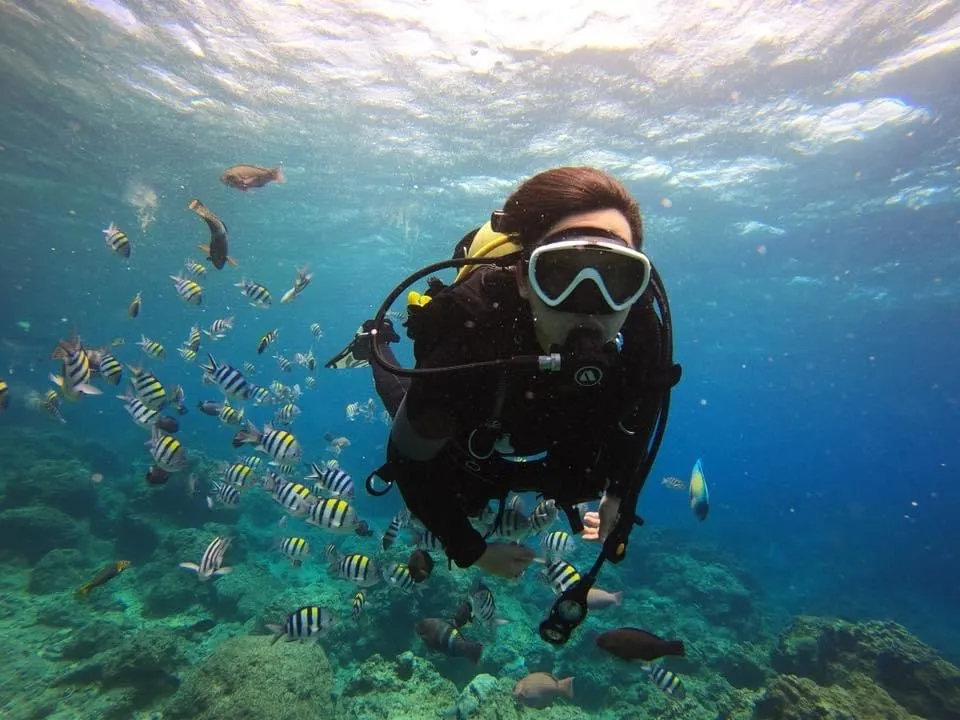 yodancing600 OnlyFans header