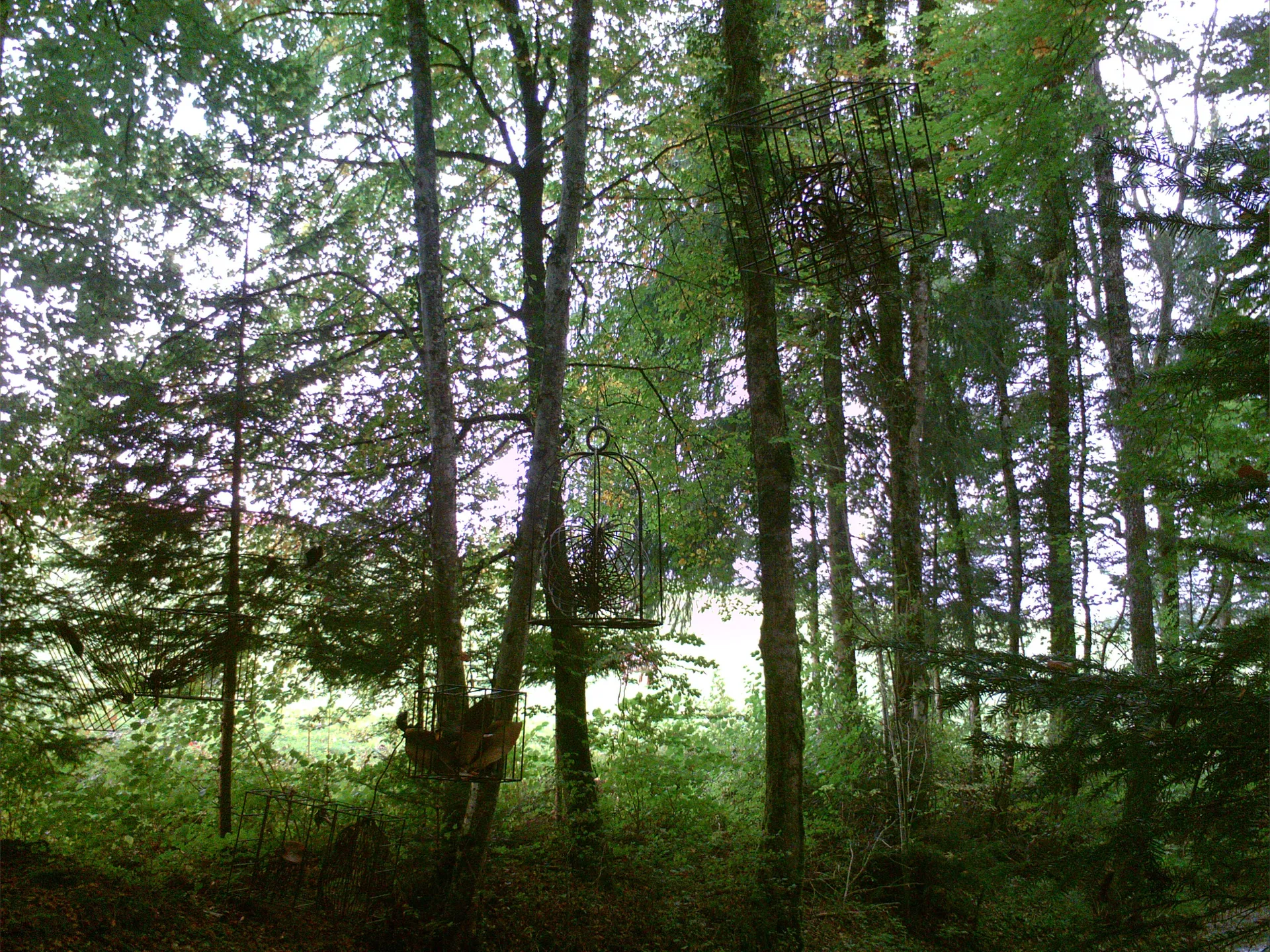 yodenpo OnlyFans header