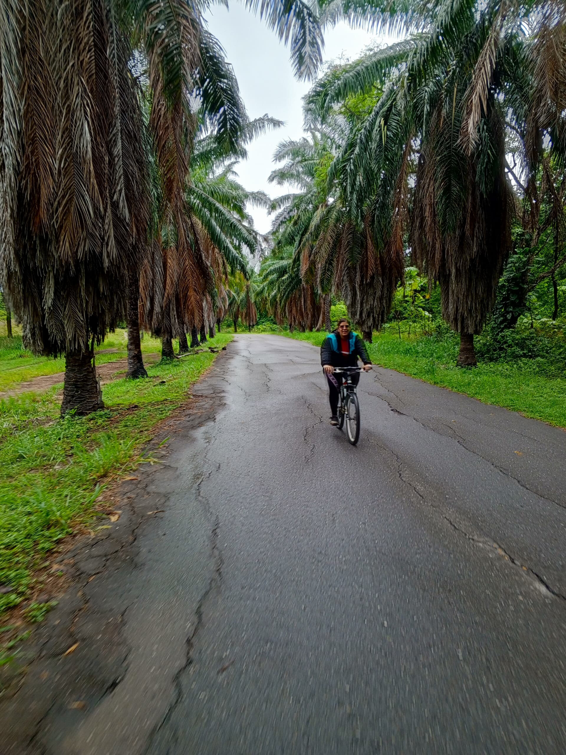 Yoely Arang OnlyFans