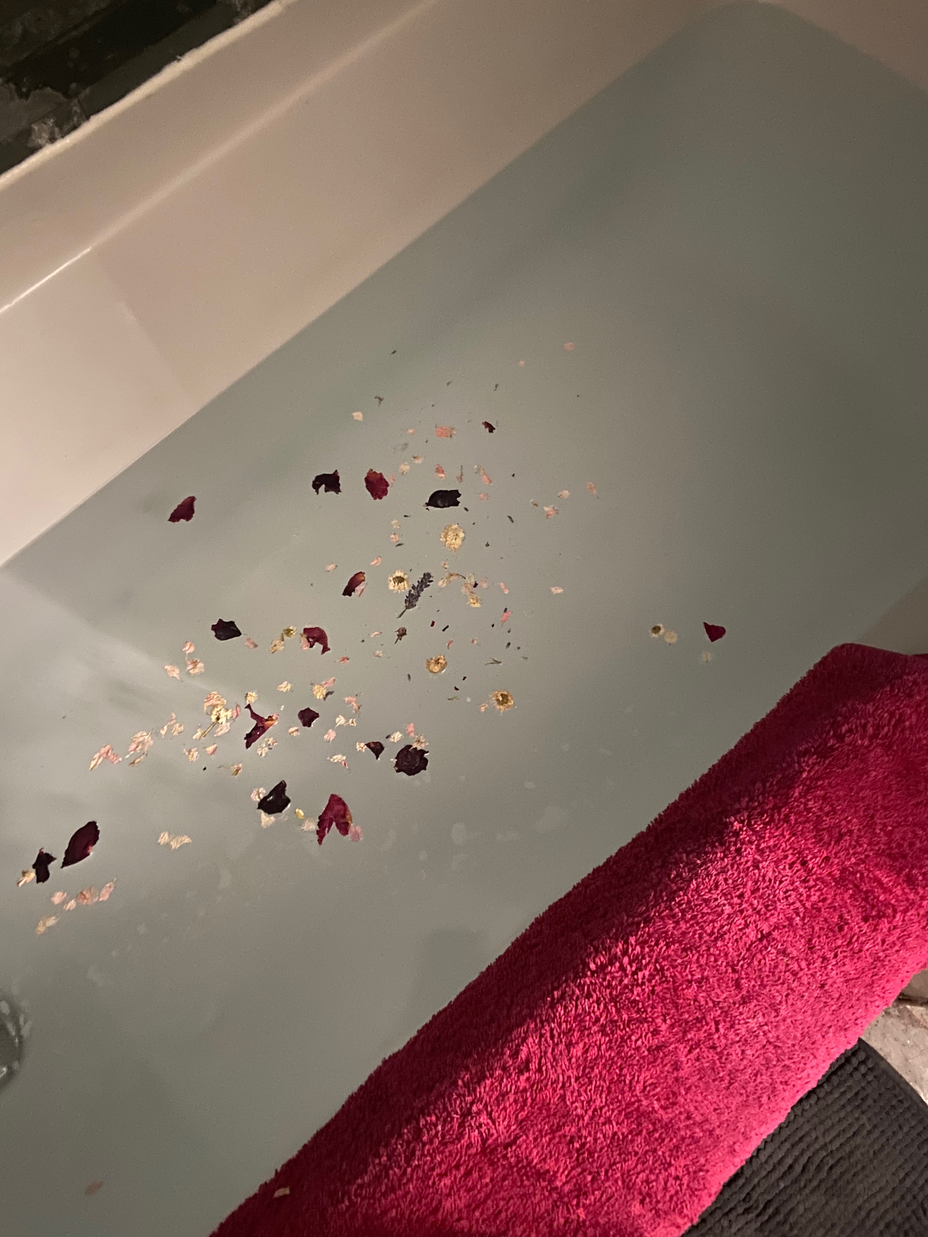 Ellie OnlyFans header