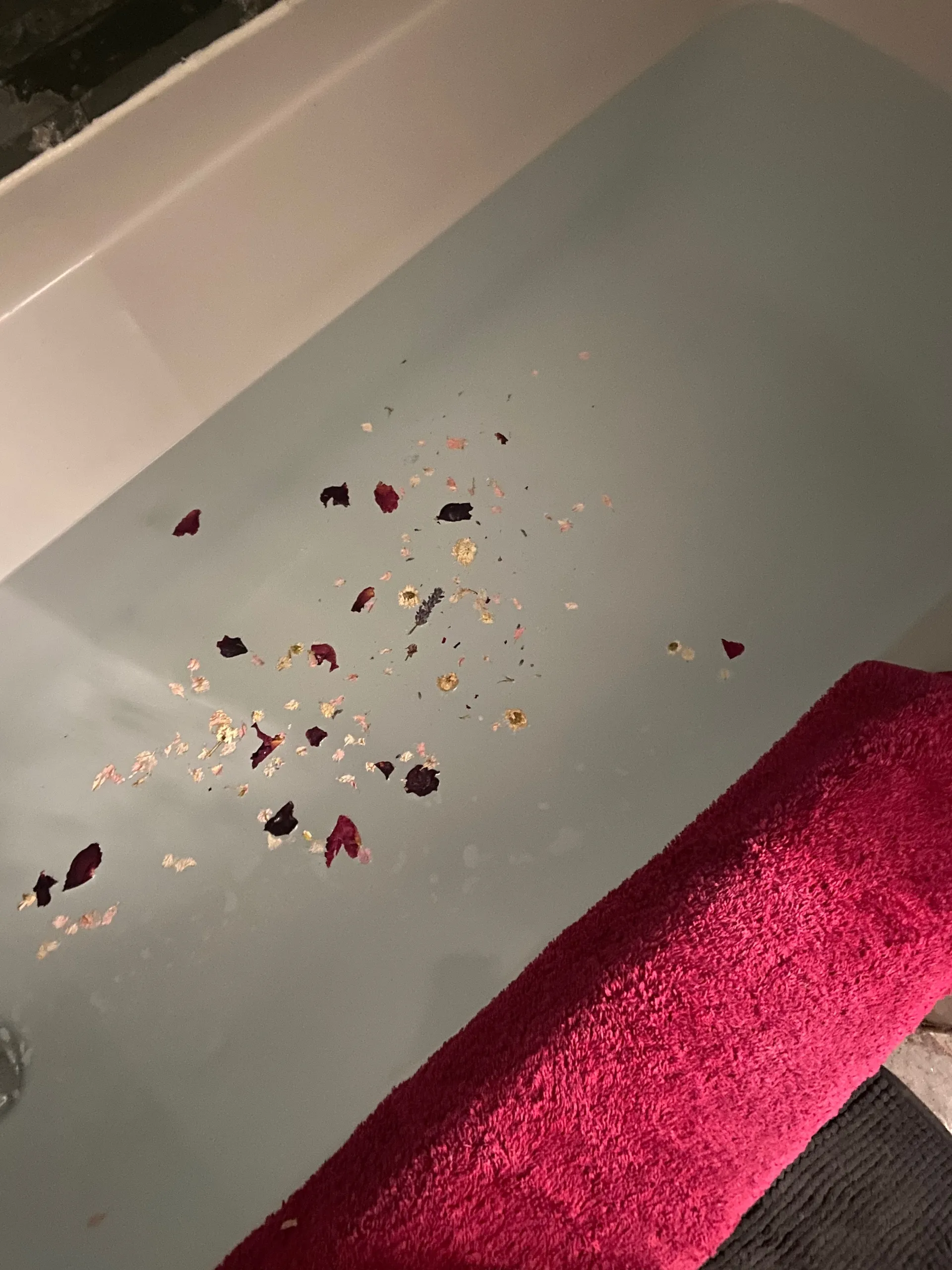 Ellie OnlyFans header